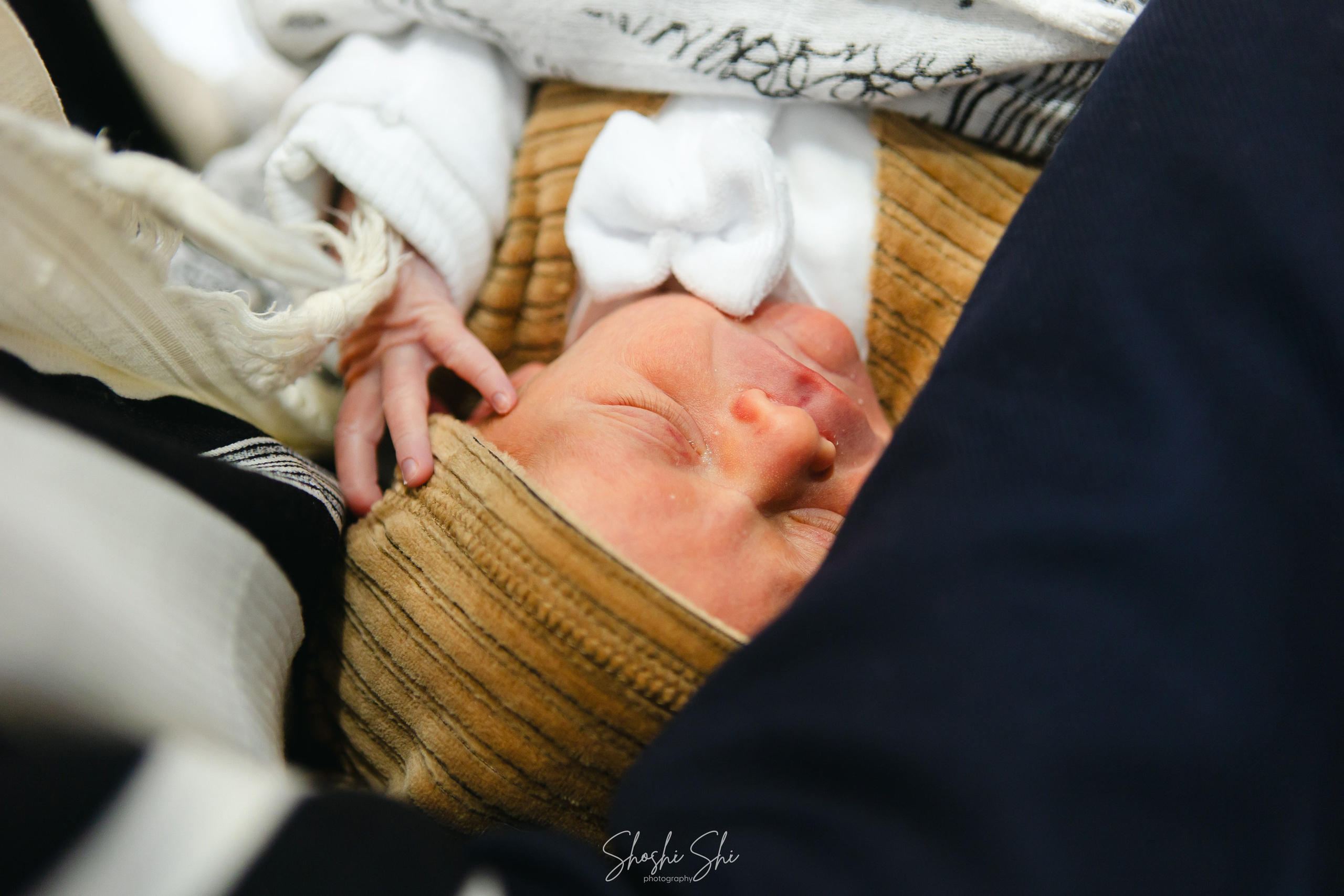 BRIT TWINS. Https://shi-photo.com/