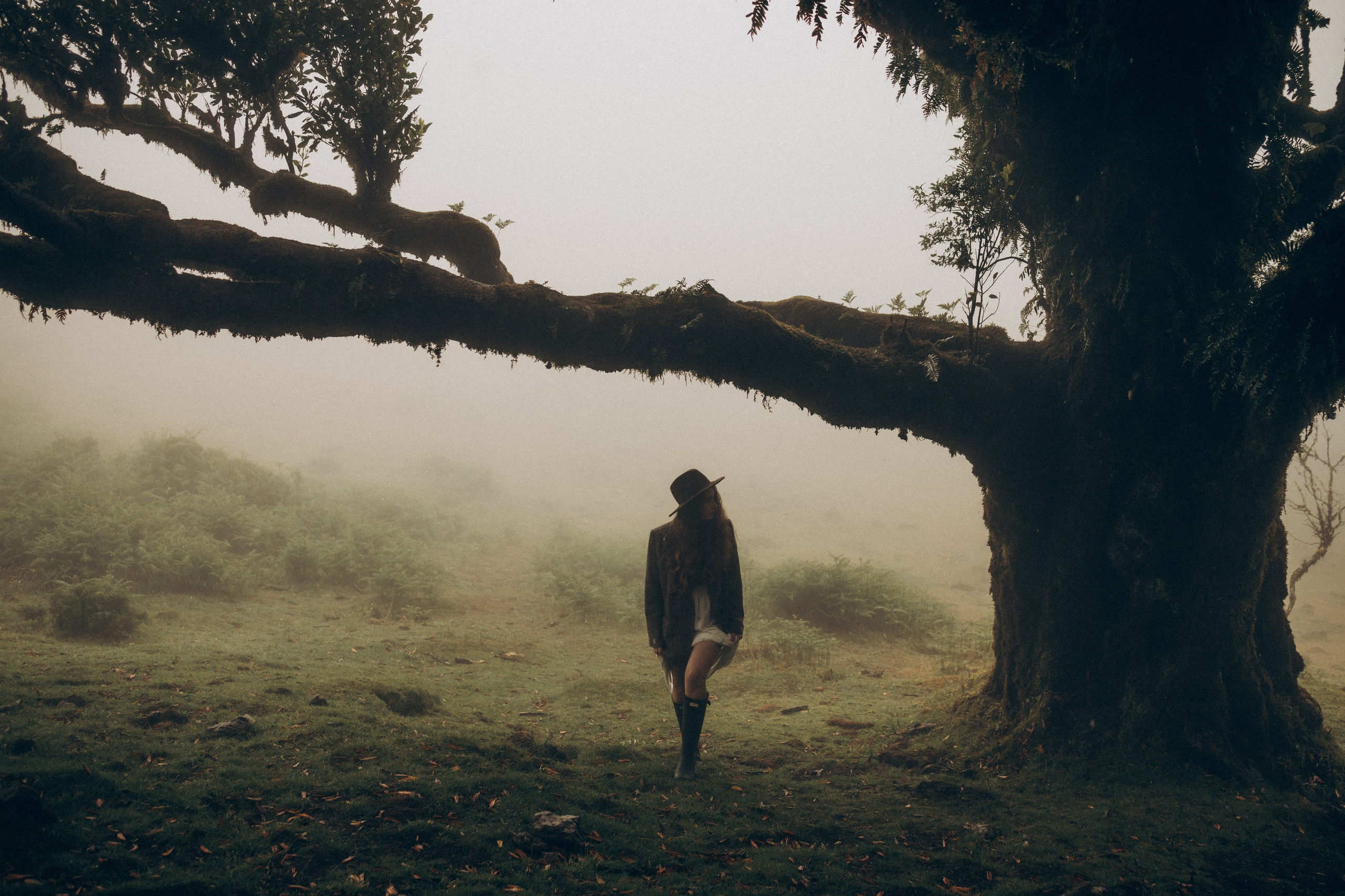 Personal. Photographer Madeira