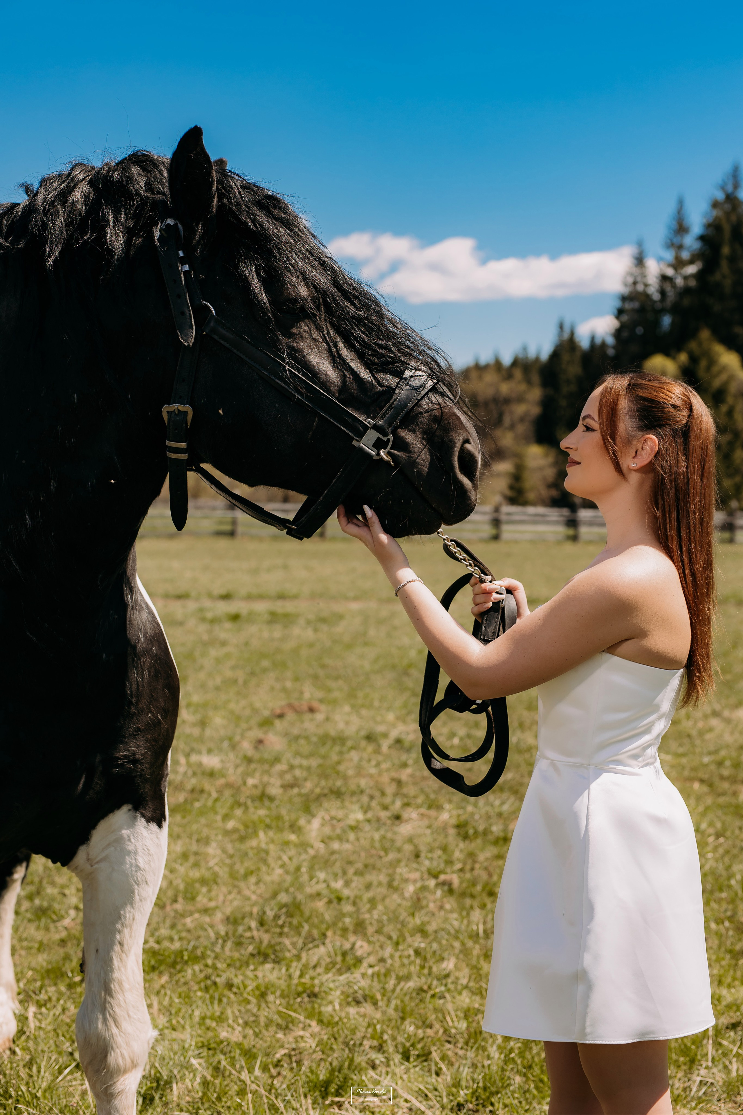 Save The Date — Ioana & Cătălin. Pagină Principală