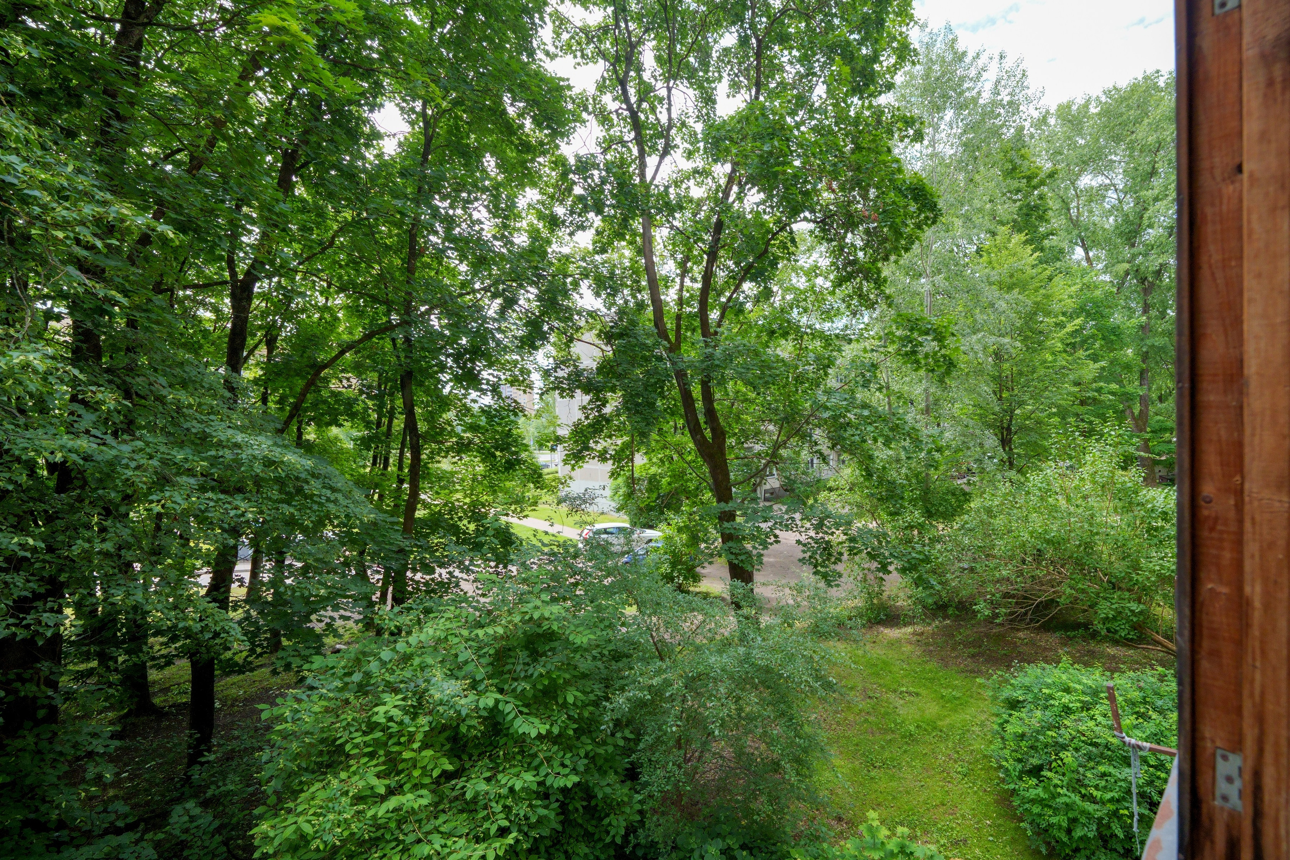 Apkasu g. 21. Elina Sapiega fotografė Vilniuje