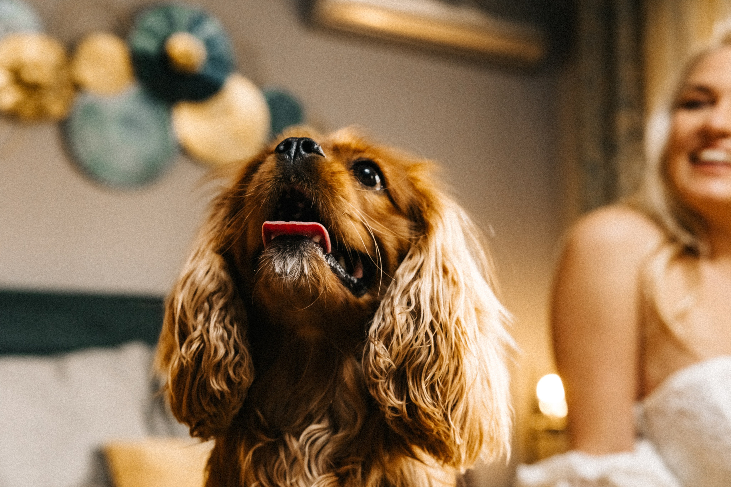 Годеж. Фотограф Ирина Йотова