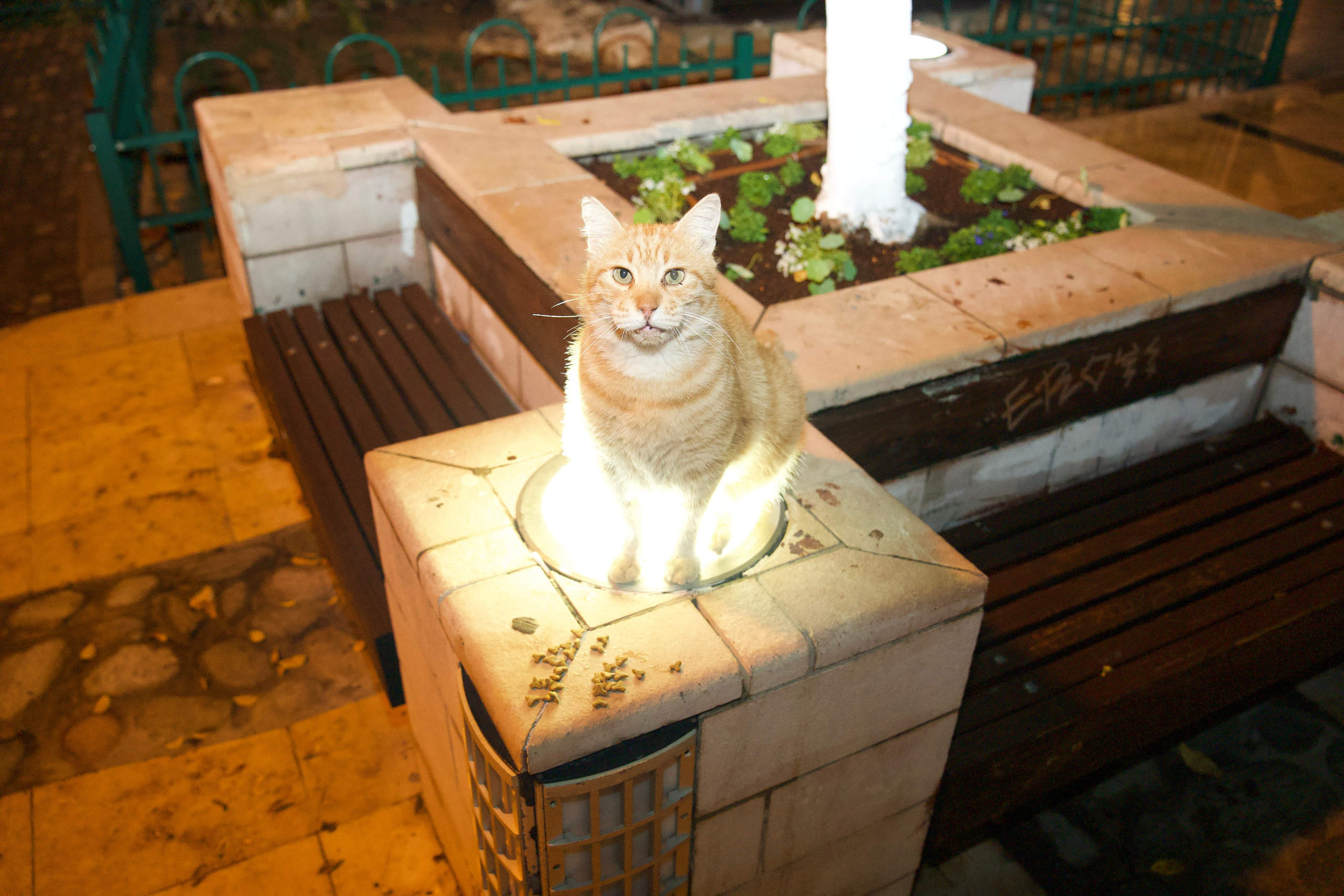 Everything from everything