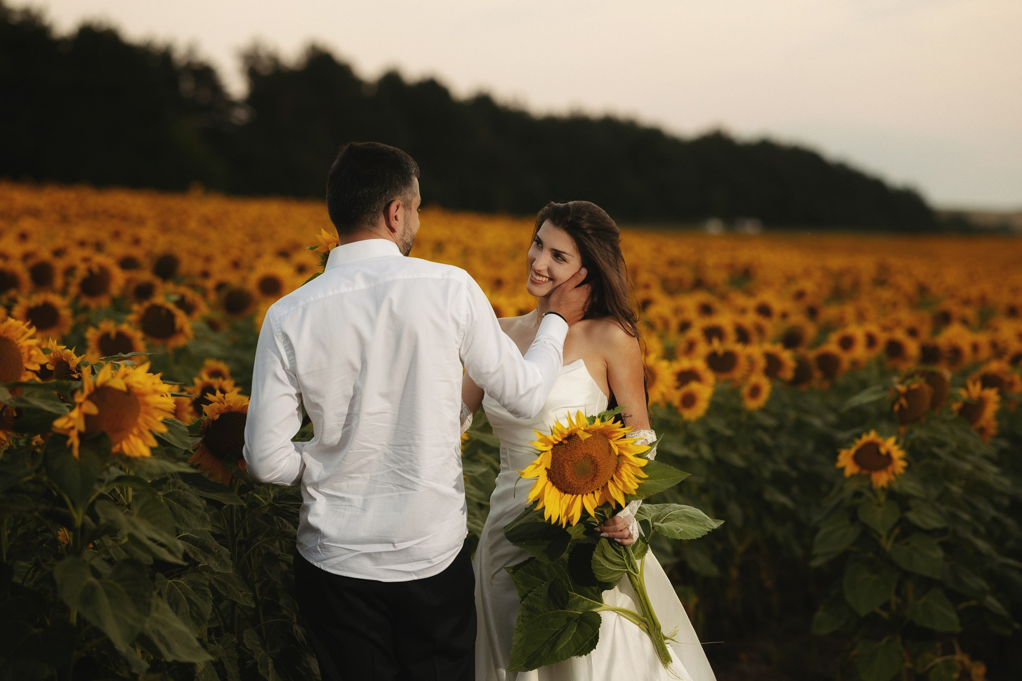 Sunflowers. Lika Gabunia photography lika gabunia
