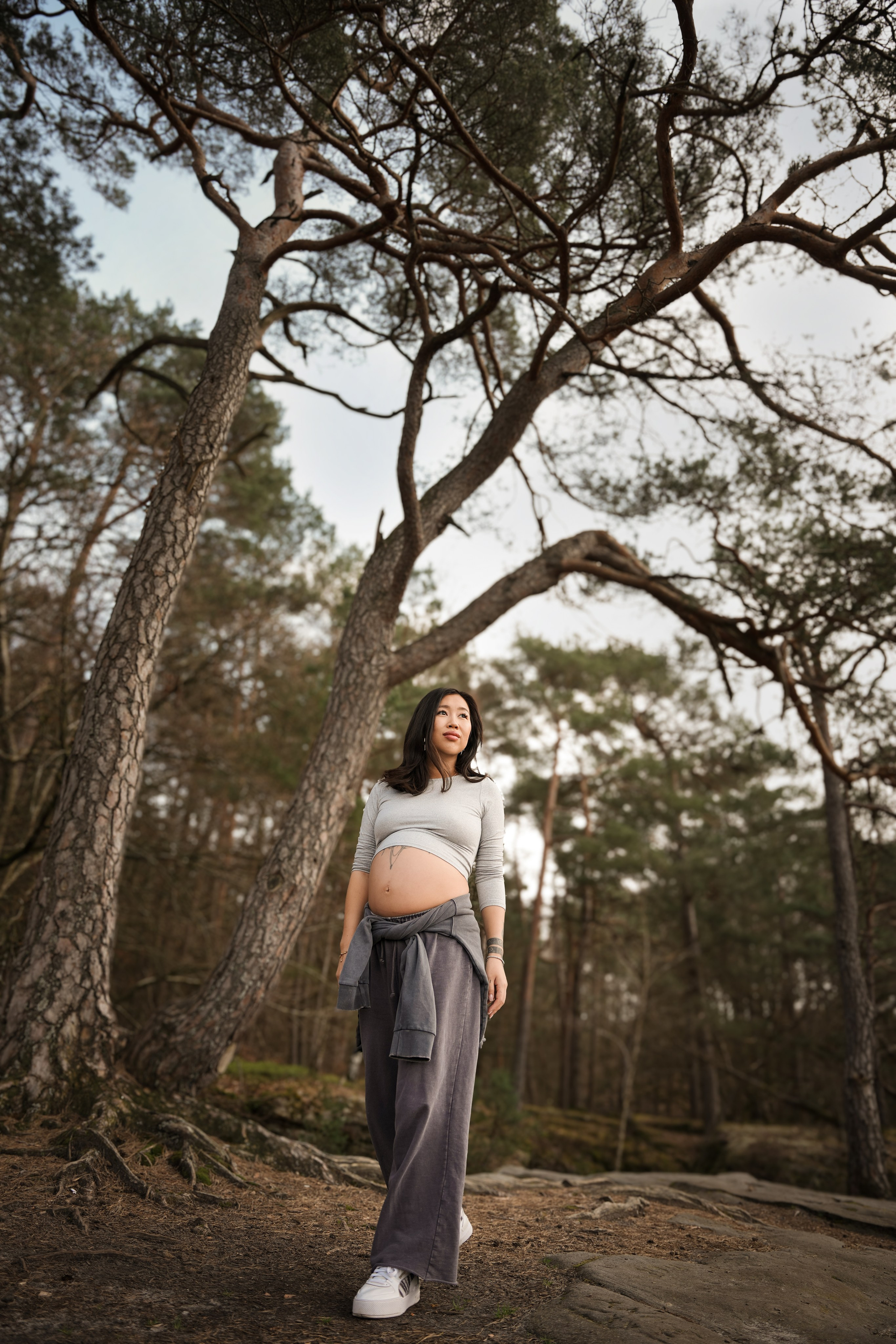 Beauty of spring forest. Elena Seewald