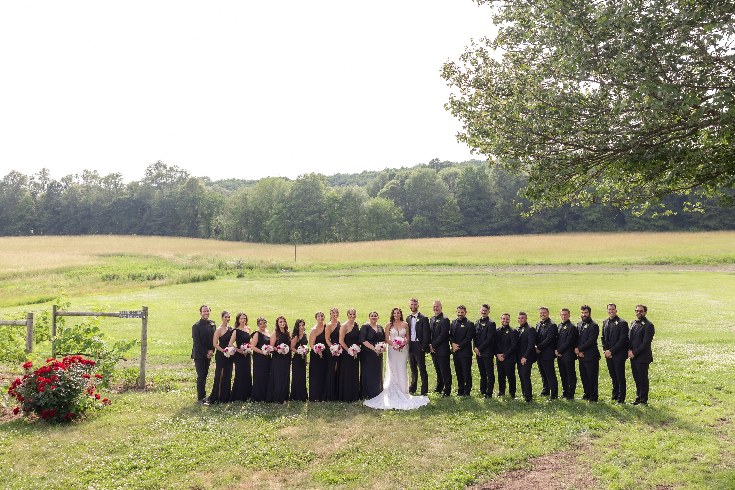 Angelica & Conor. Wedding Photo & Video