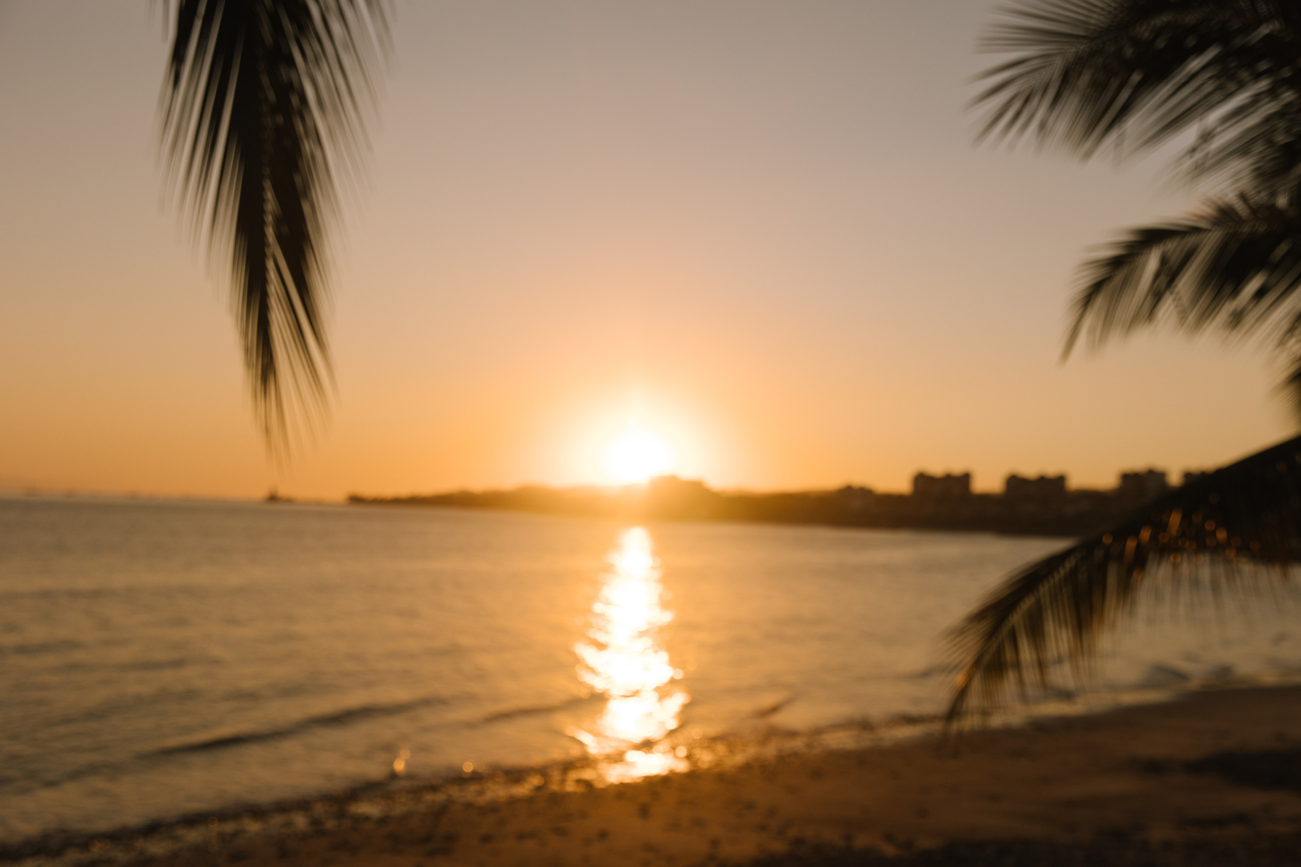 Martoca Beach Garden. Wedding photographer Mexico Sayulita Puerto Vallarta Punta Mita Cabo