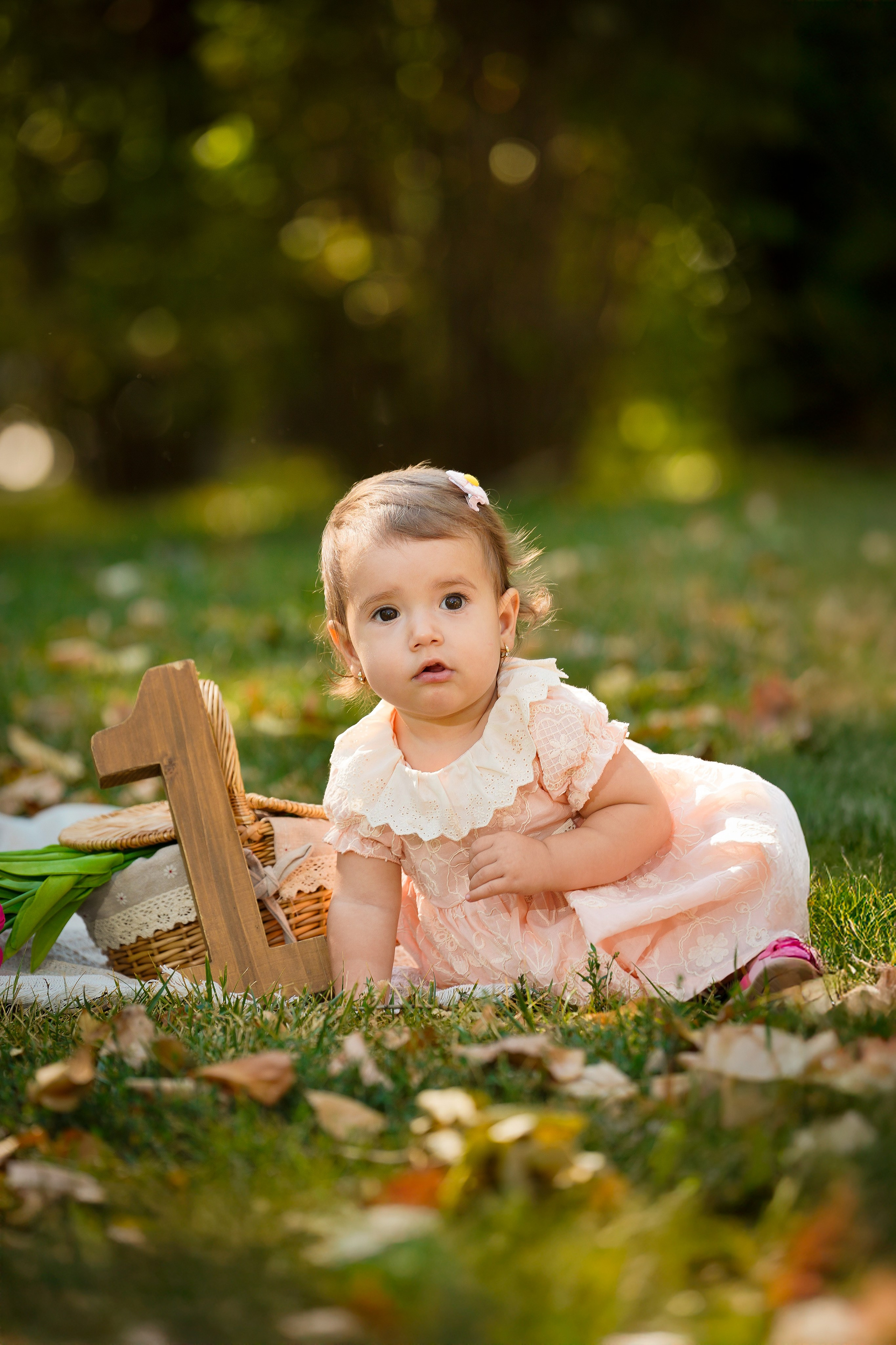 Sedinta foto outdoor. Cuibul foto