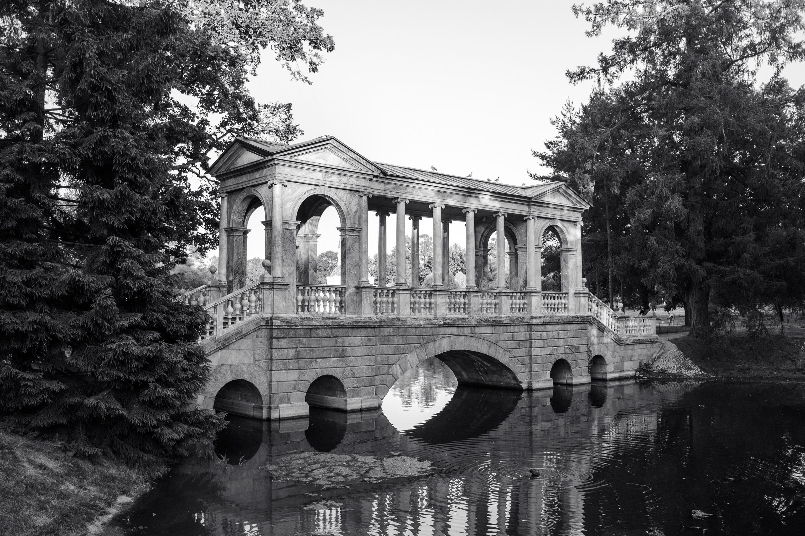 St Petersburg. Photographer Mariia Bortiakova