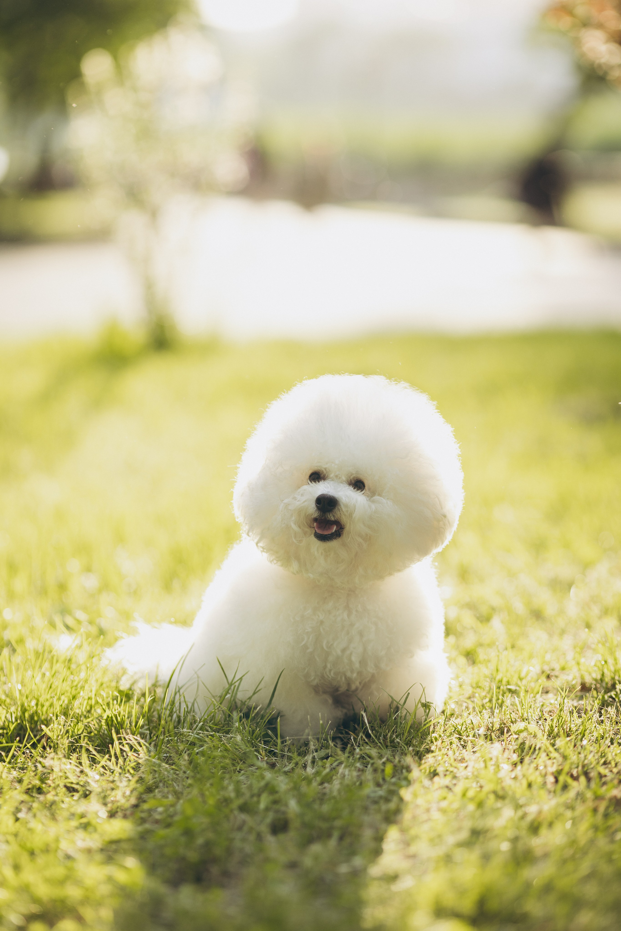 Sara. Семейный фотограф в Кишинёве Пулькина Ольга
