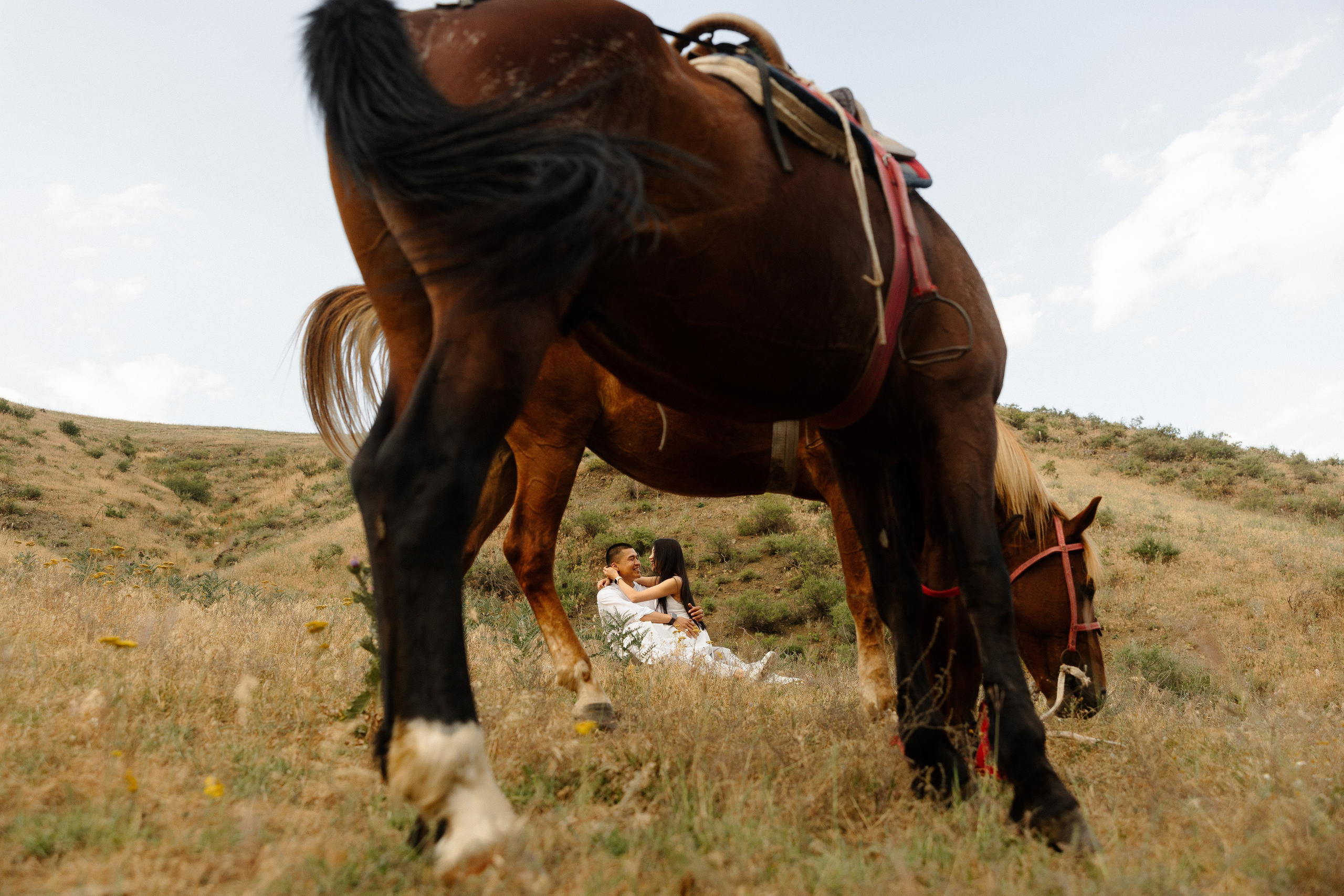 Самат и Айжан. Азимжан Нуритдинходжаев — свадебный фотограф