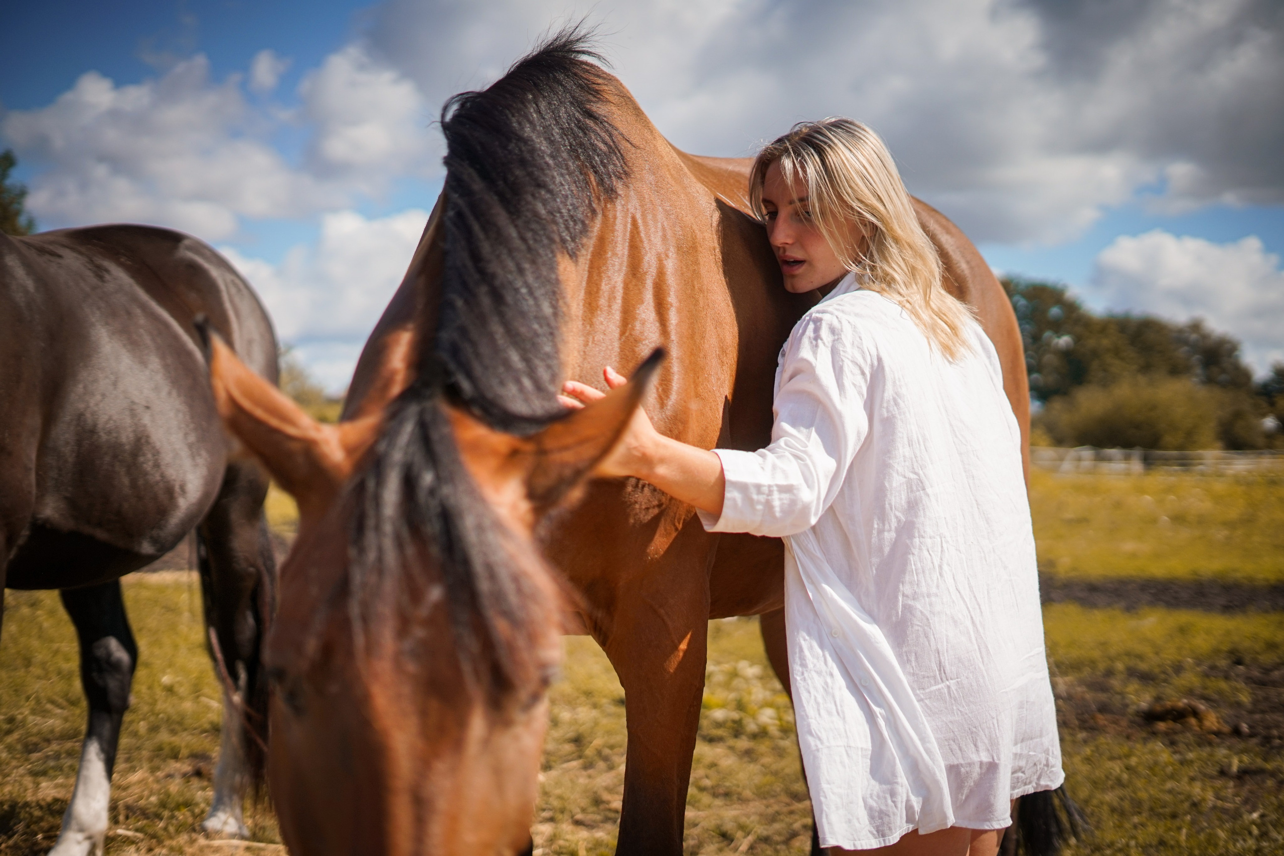 Horses and Harmony Ft.Paula. Potrait Photography Arjunovision
