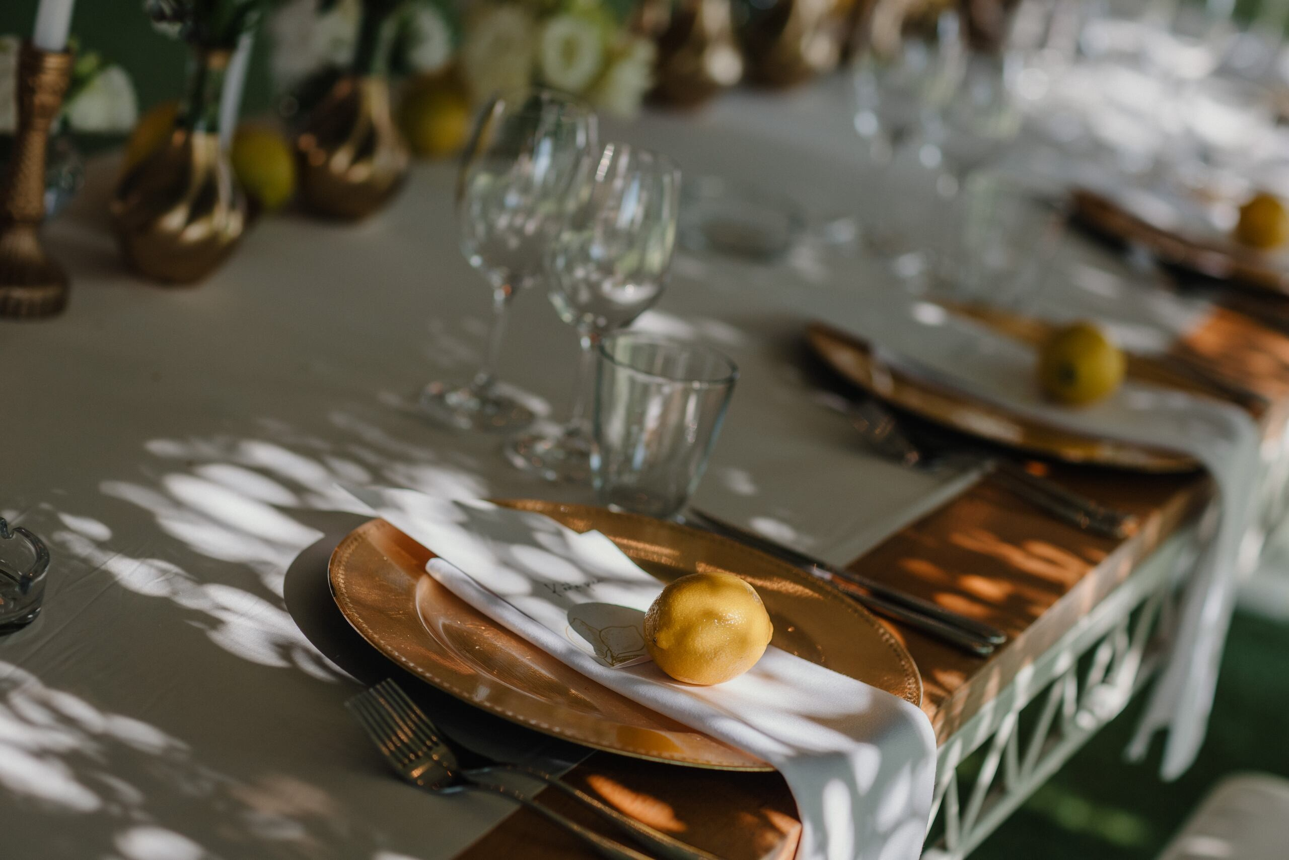 Leona & Ivan. Wedding photographer based in Novi Sad, Marko Milivojevic