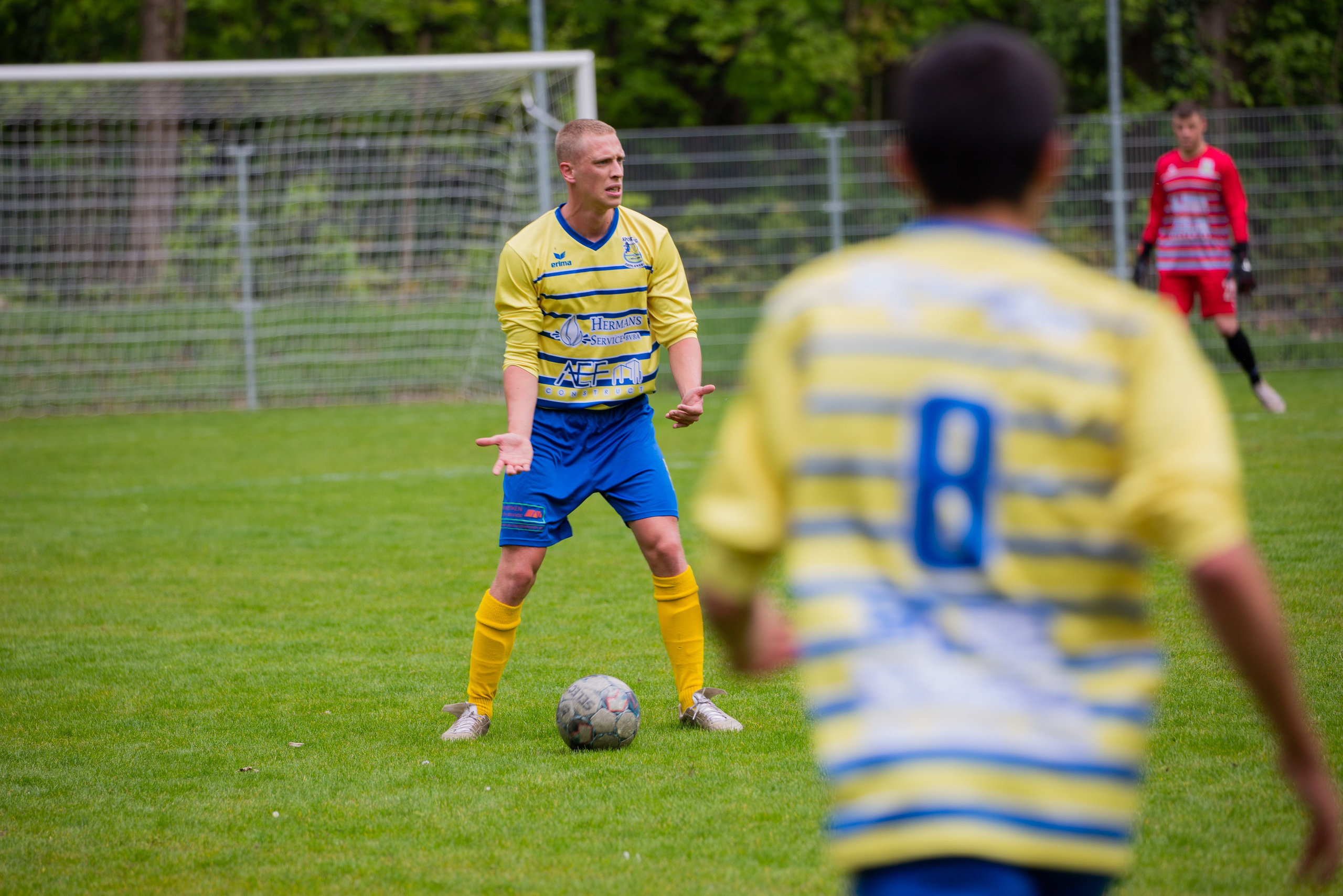 Sports. Family, portrait, and lifestyle photoshoots in Belgium
