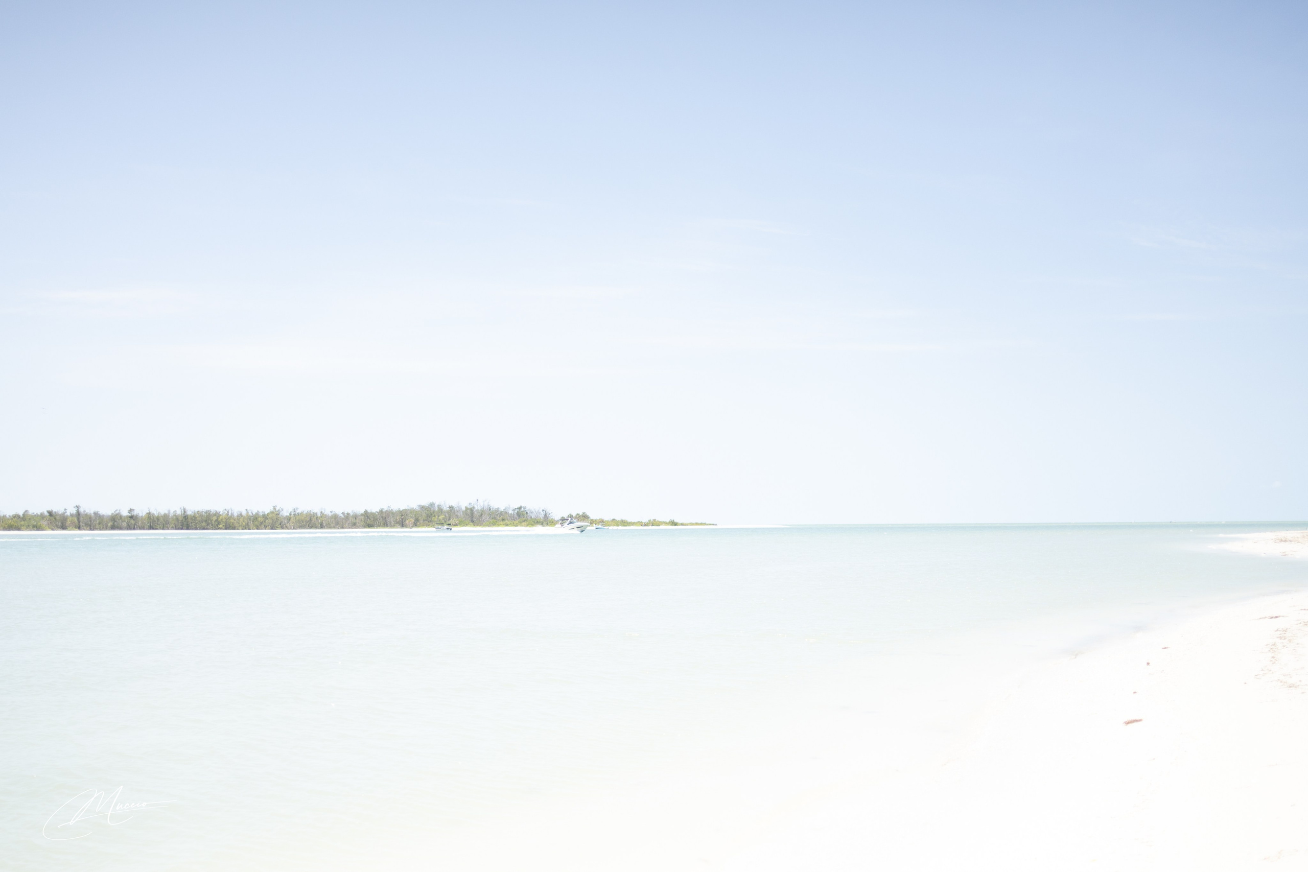 Florida Man — Fort Myers Walkabout. Out and About 239