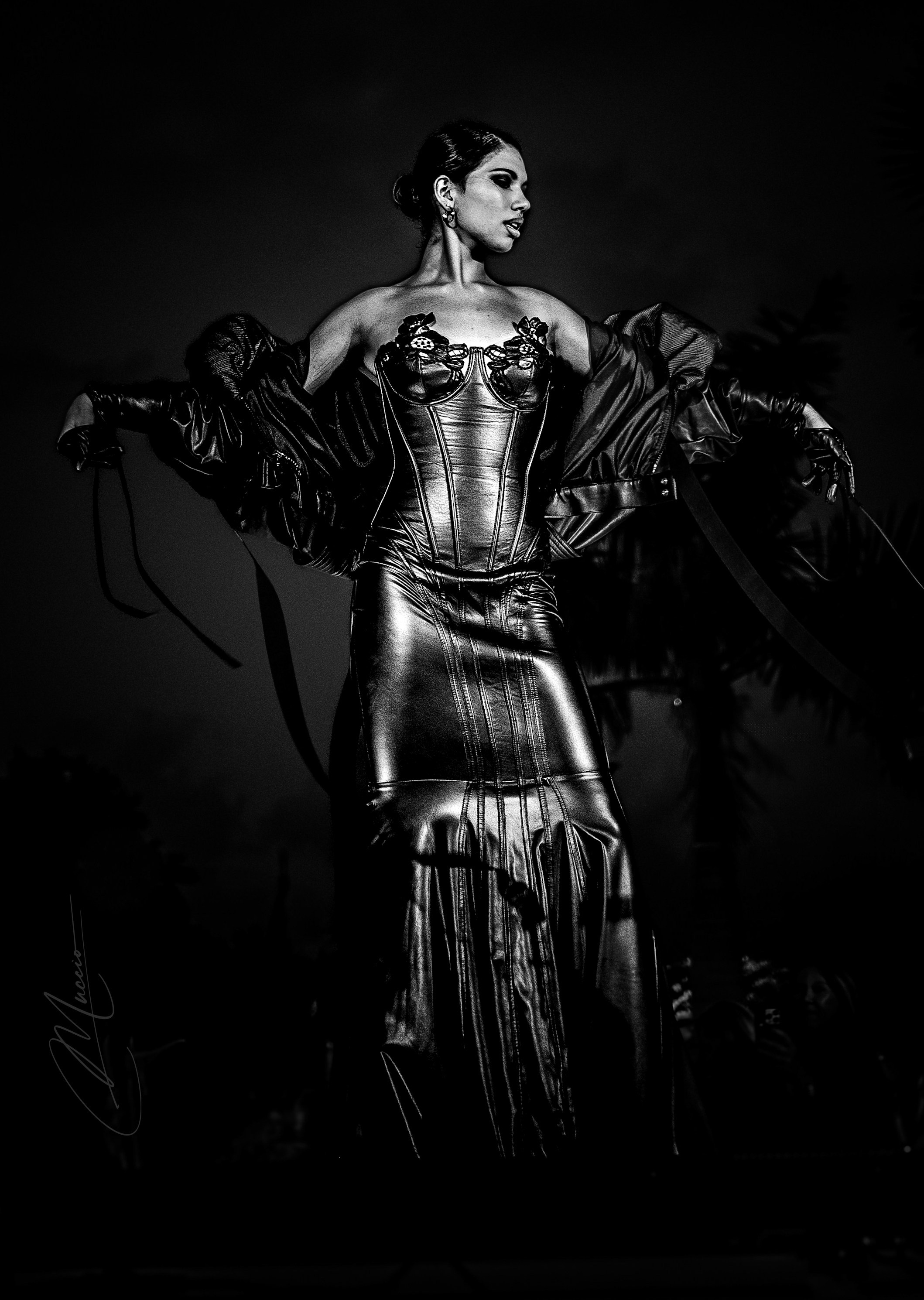 Black and White. Out and About 239