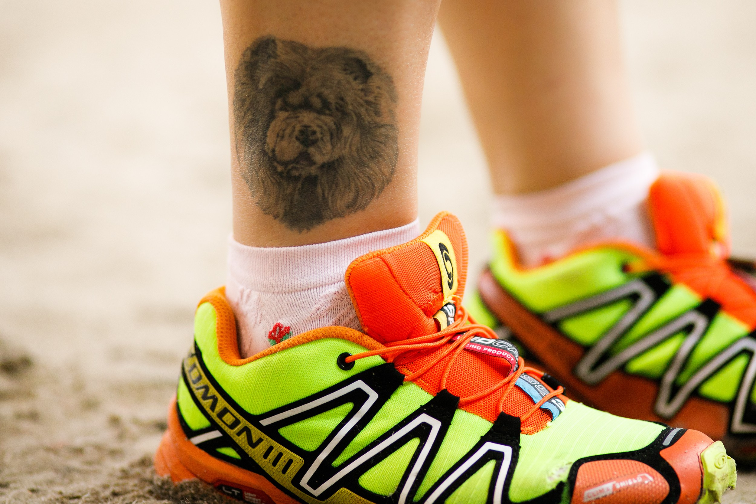 Dog shows | the best ones. Kaja | fotograf psów we Wrocławiu