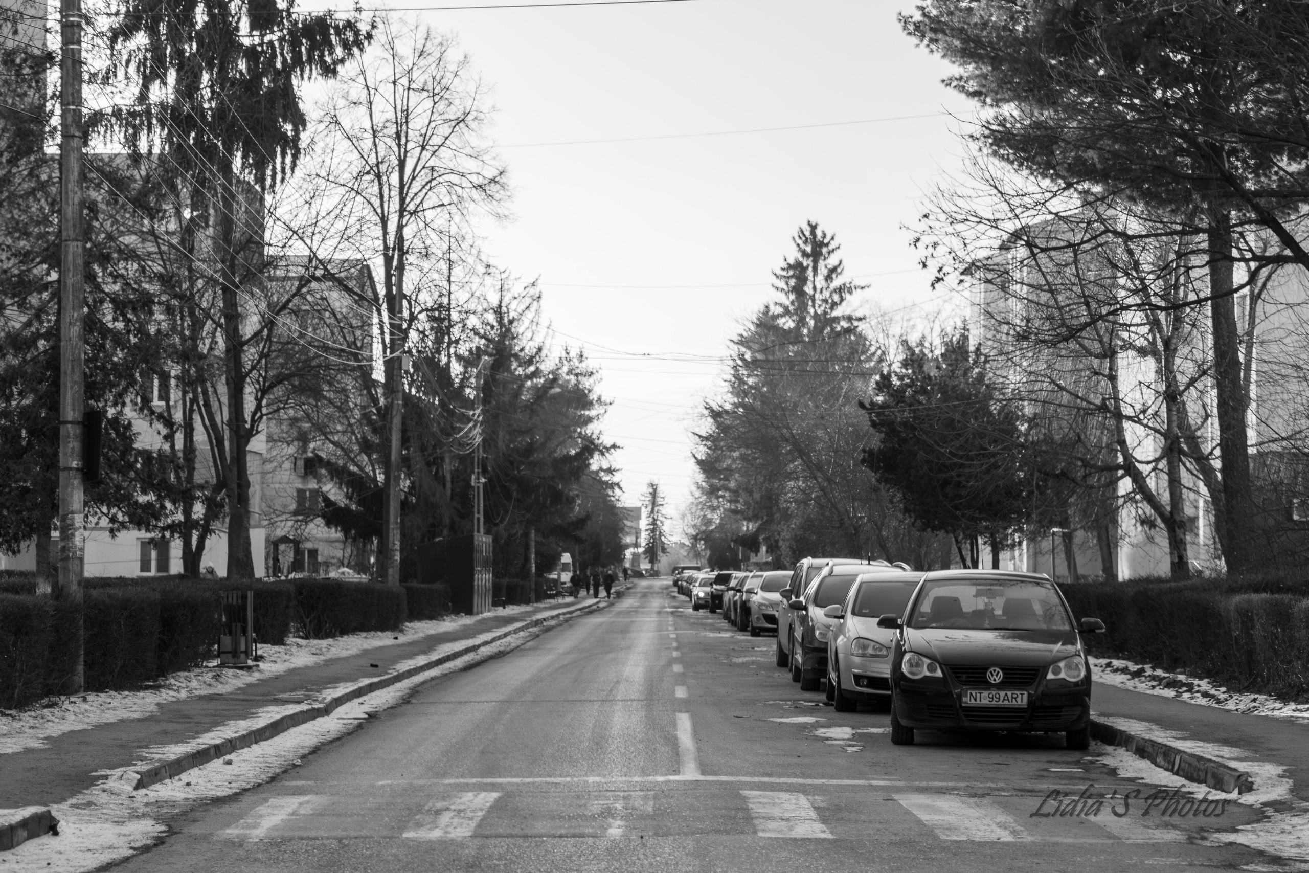 Fotograf. Lucrez cu oameni, produse și spații. Portret și fotografie creativă. Bacău, România. Lidia Savinoiu