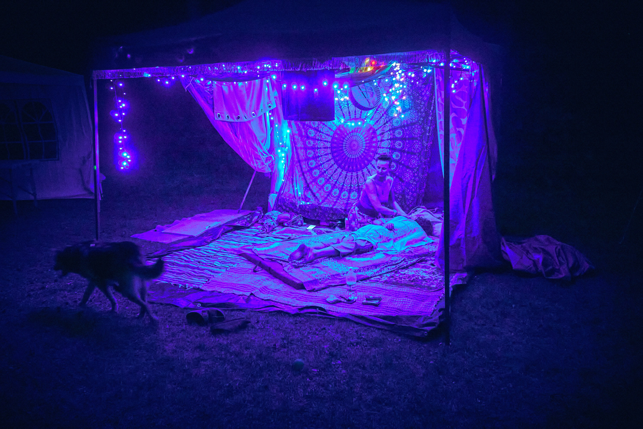 Organic Festival 2021 - reportaż kreatywny - Andriej Szypiłow. Andriej Szypilow - Fotografia & Wideografia