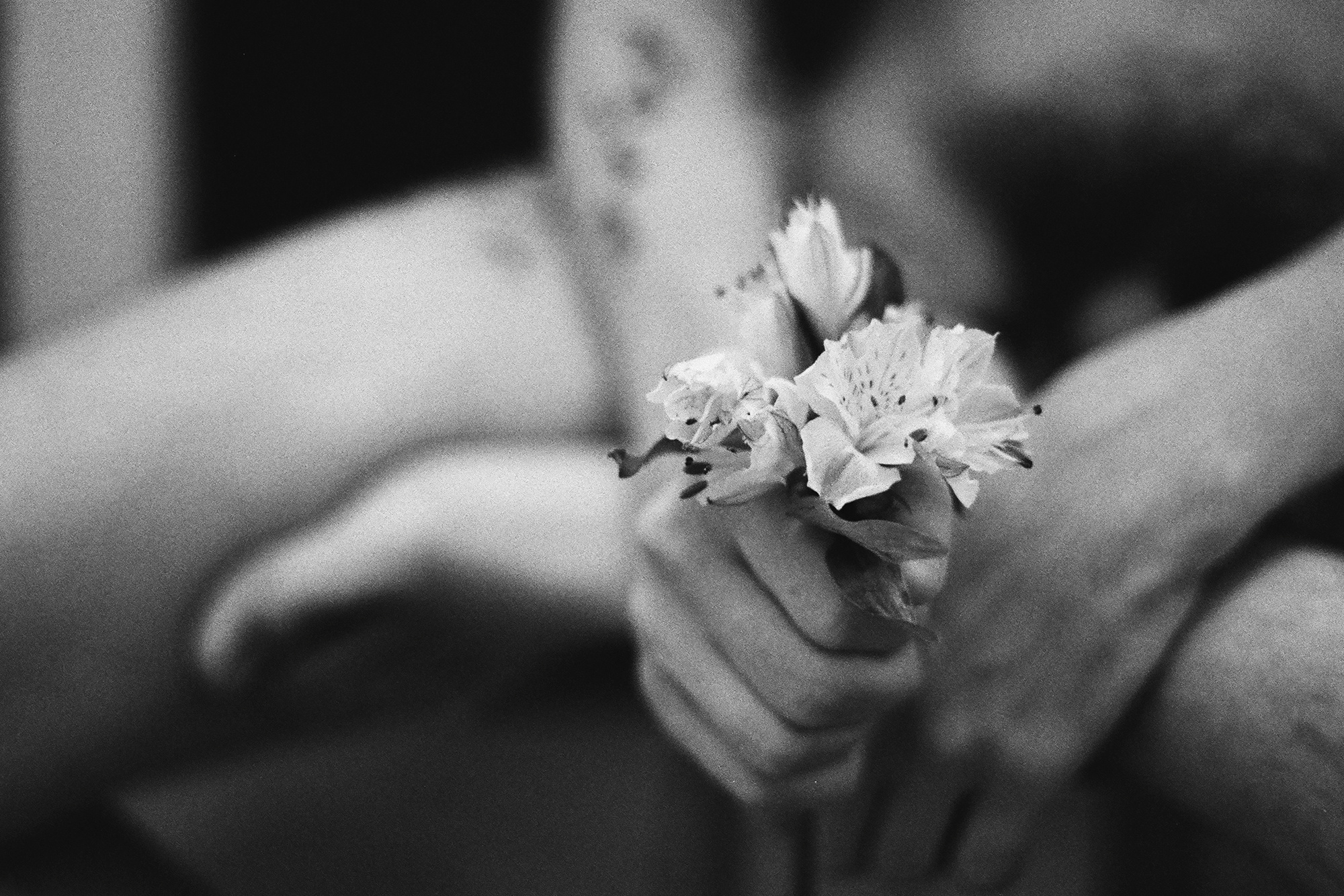 Тело. Полина Сойреф, портретный и документальный фотограф