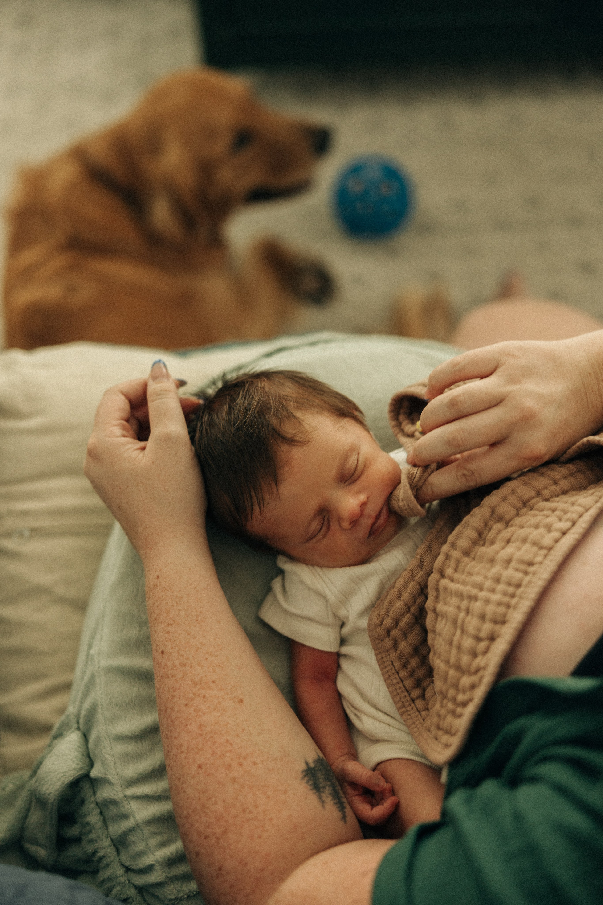 The Williams. Sara Eulalia | Virginia Photographer