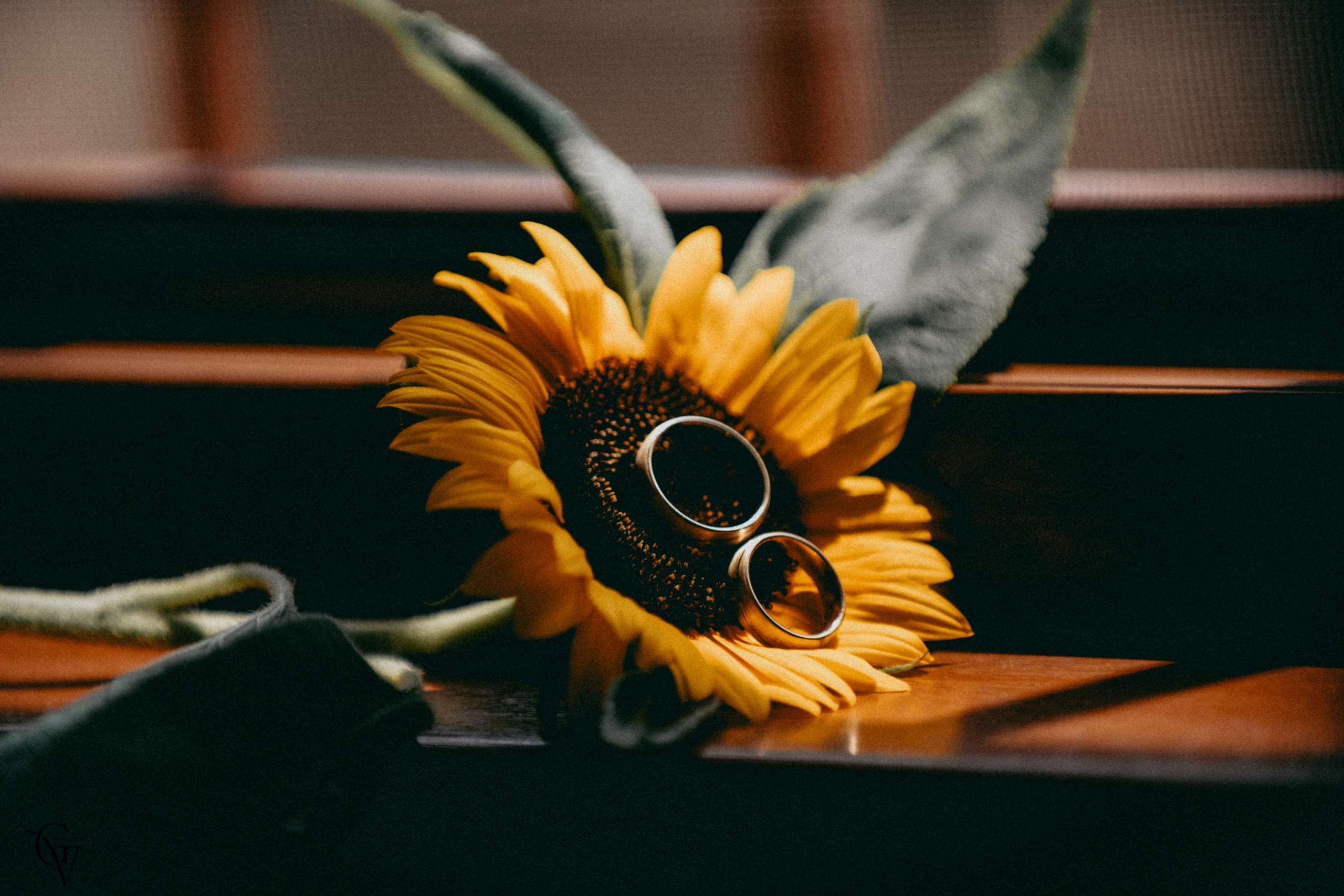 Vahe & Irma. Wedding photos and video shooting in Armenia and all over the world!!! Photographer in Yerevan