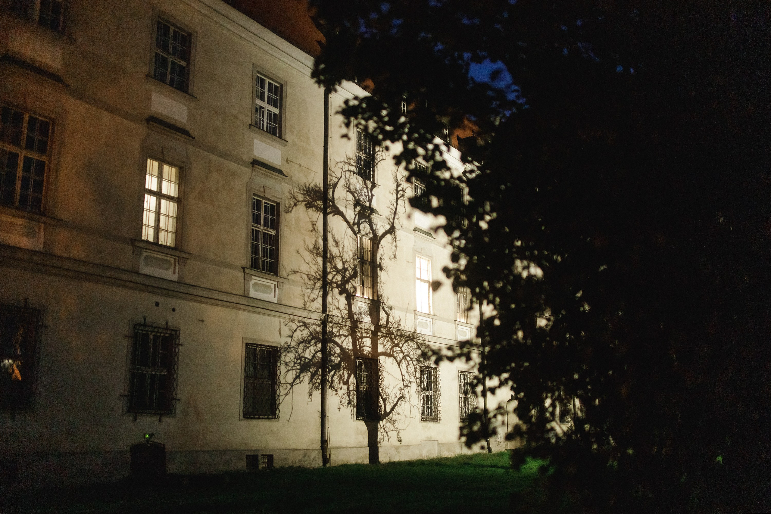 Nastya. Kaja | fotograf psów we Wrocławiu