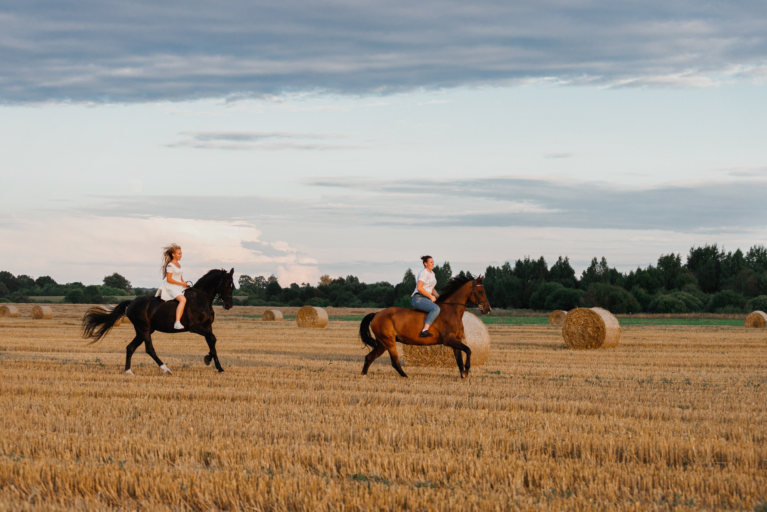 One sunset. Kaja | fotograf psów we Wrocławiu