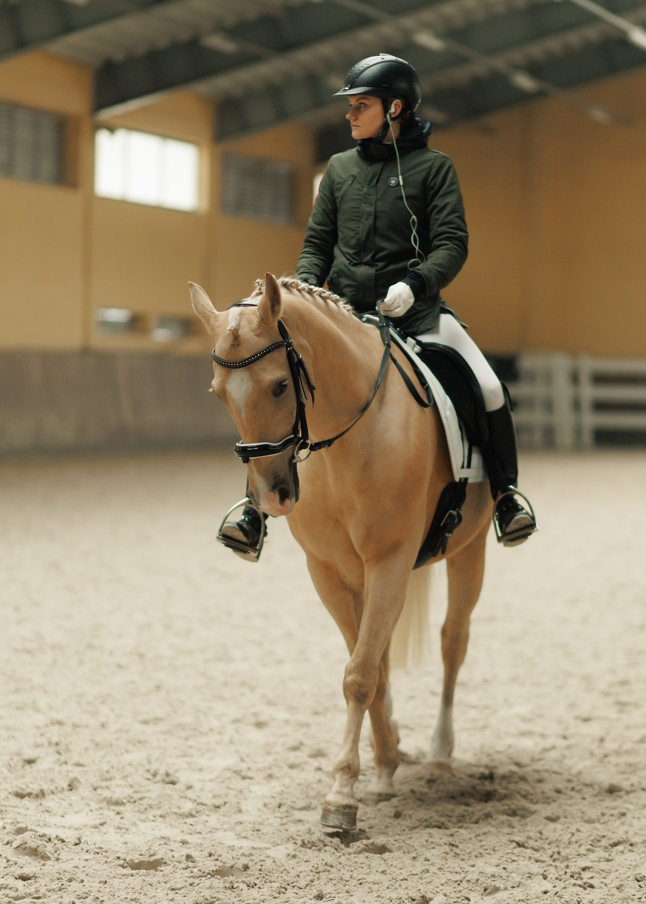 Partynice dressage \ feb'25. Kaja | fotograf we Wrocławiu | ludzie i psy