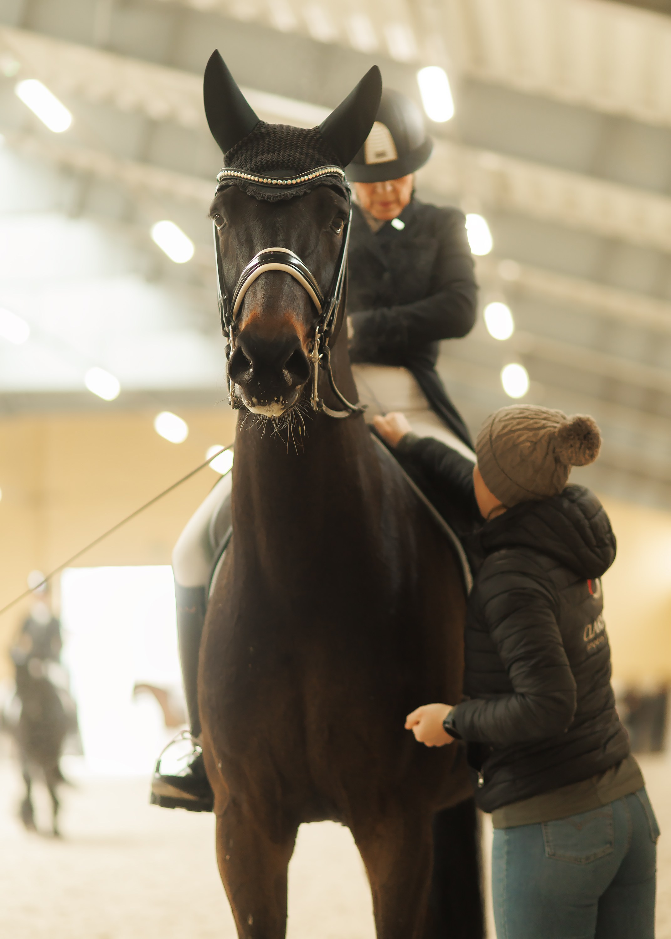 Fotografia koni Wrocław \ ujeżdżenie, Partynice. Kaja | fotograf we Wrocławiu | ludzie i psy
