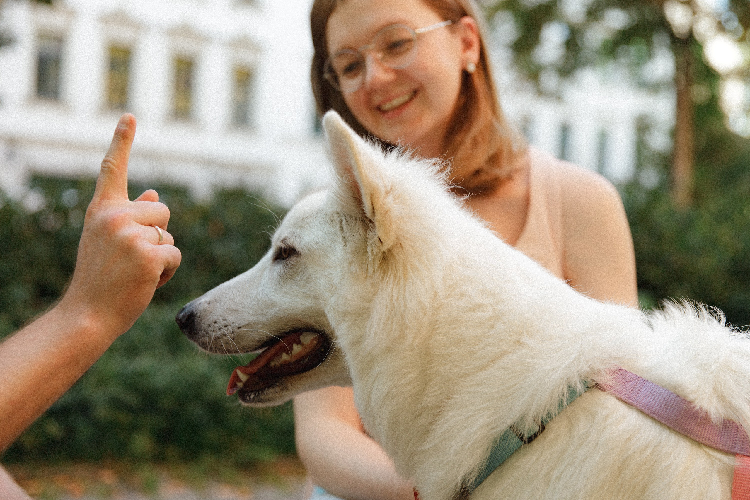 Astra in Leipzig. Kaja | fotograf we Wrocławiu | ludzie i psy