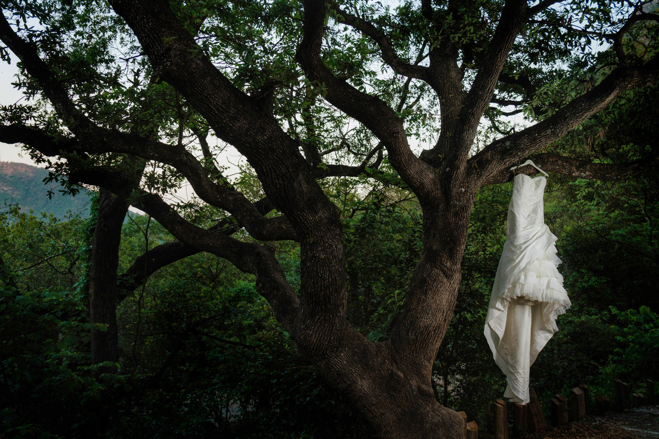 Wedding. Professional Photographer in Chihuahua, Mexico — Alex Mendoza