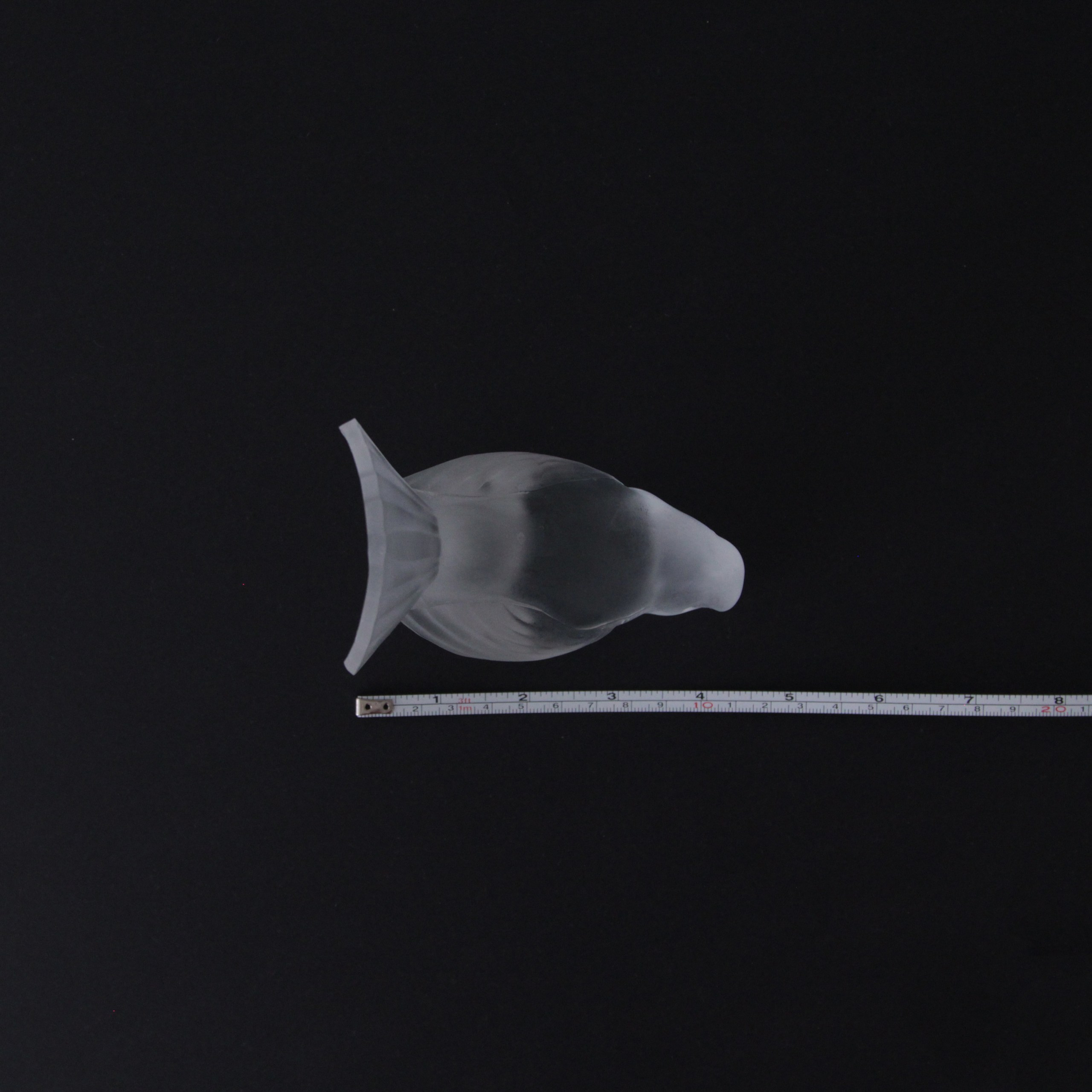 Bird. Современнные и актикварные украшения в Барселоне, Москве и Санкт-Петербурге