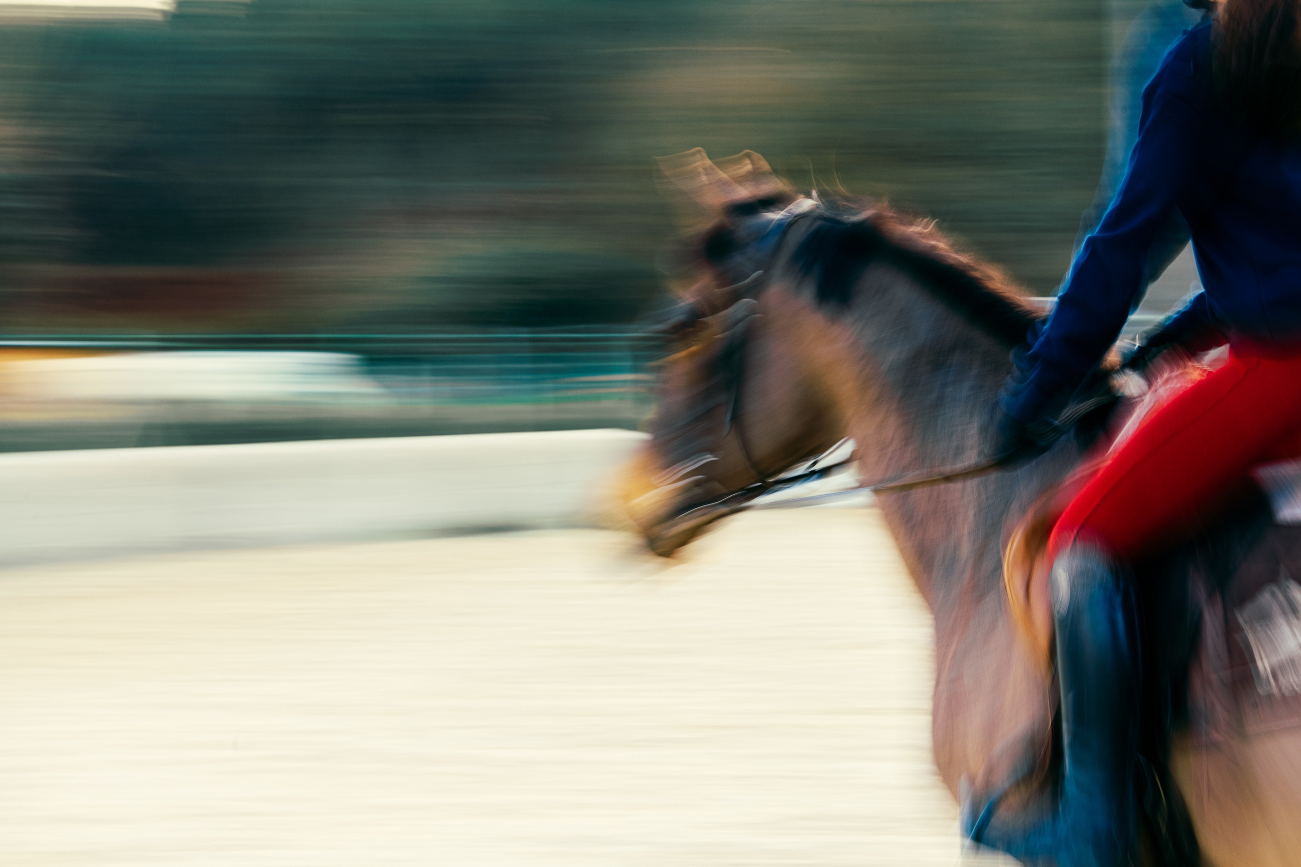 HORSES. Anastasiia Antoniuk portrait, family and couple photographer, Portugal