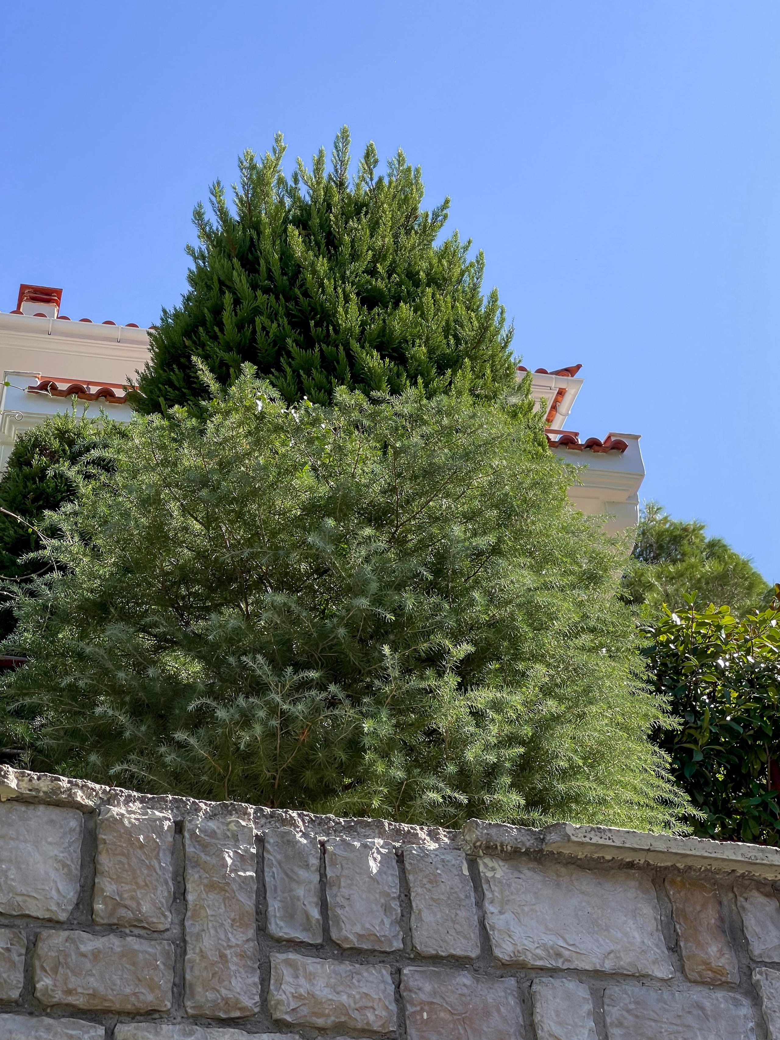 Κήπος Θρακομακεδόνες. Geoponitikon-Όταν η Επιστήμη συναντά την Τέχνη στο Φυσικό Τοπίο!