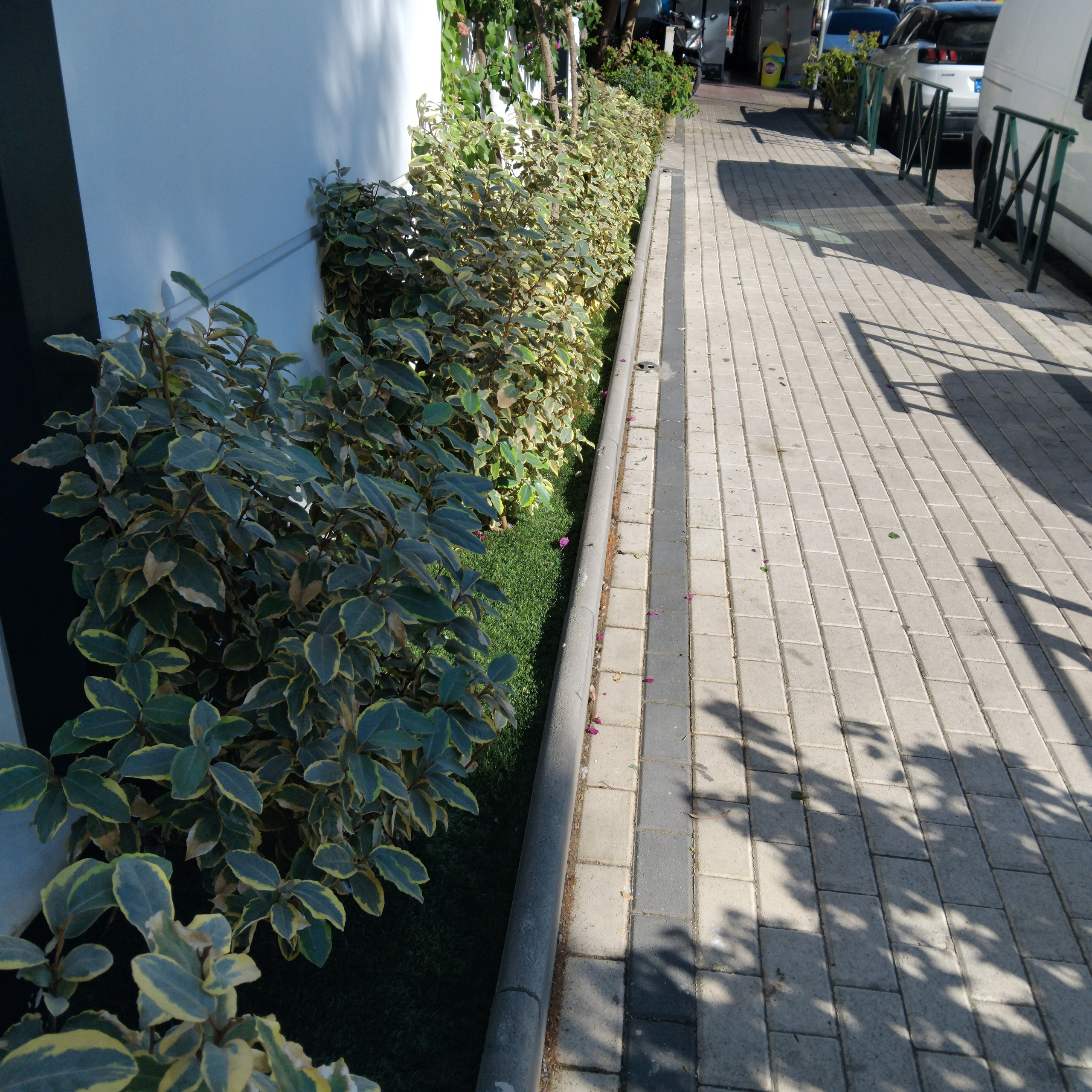 Κήπος Καμίνια. Geoponitikon-Όταν η Επιστήμη συναντά την Τέχνη στο Φυσικό Τοπίο!