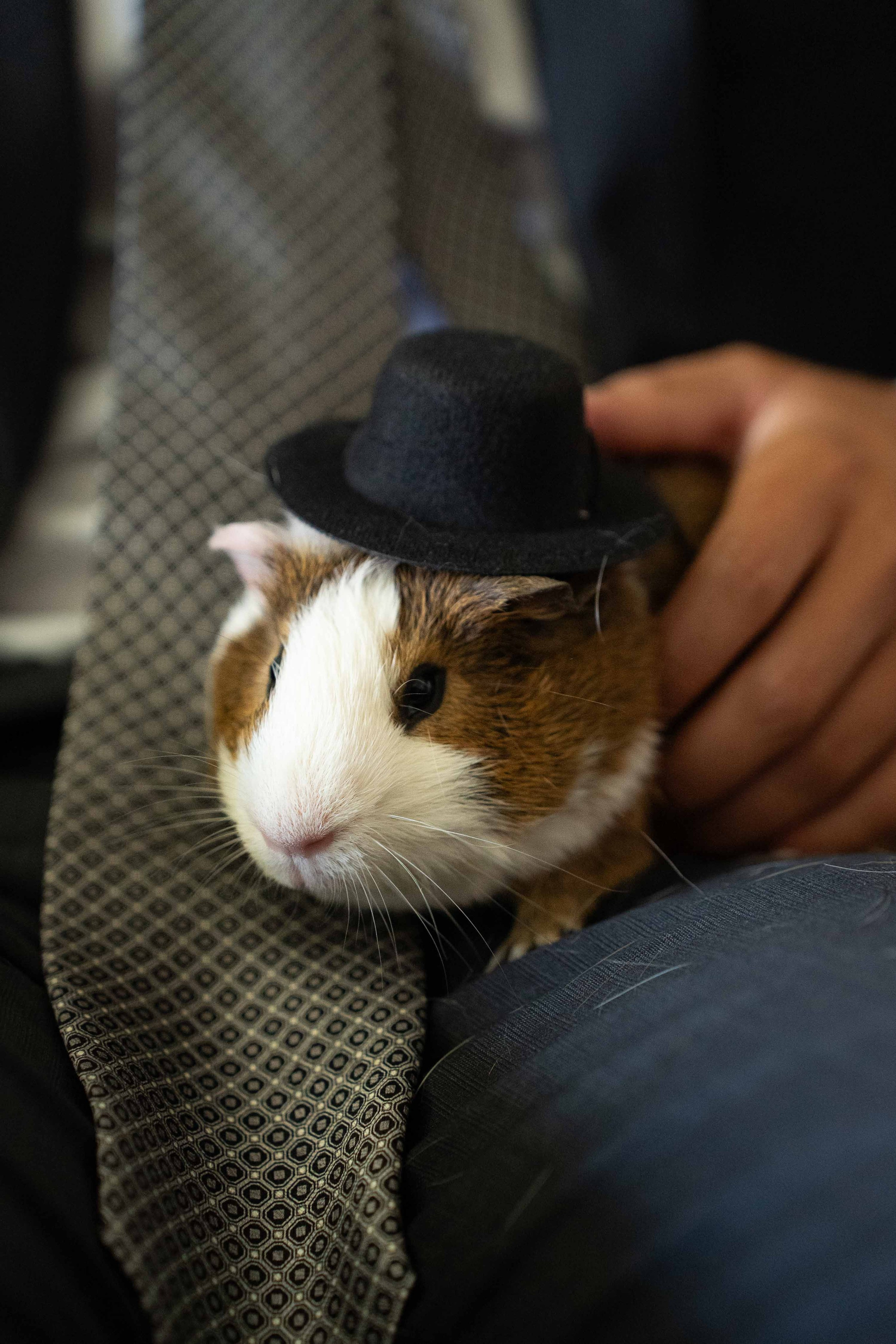 Rachel & Sergei Wedding. Classic & Elegant Wedding Photography and Videography in SoCal