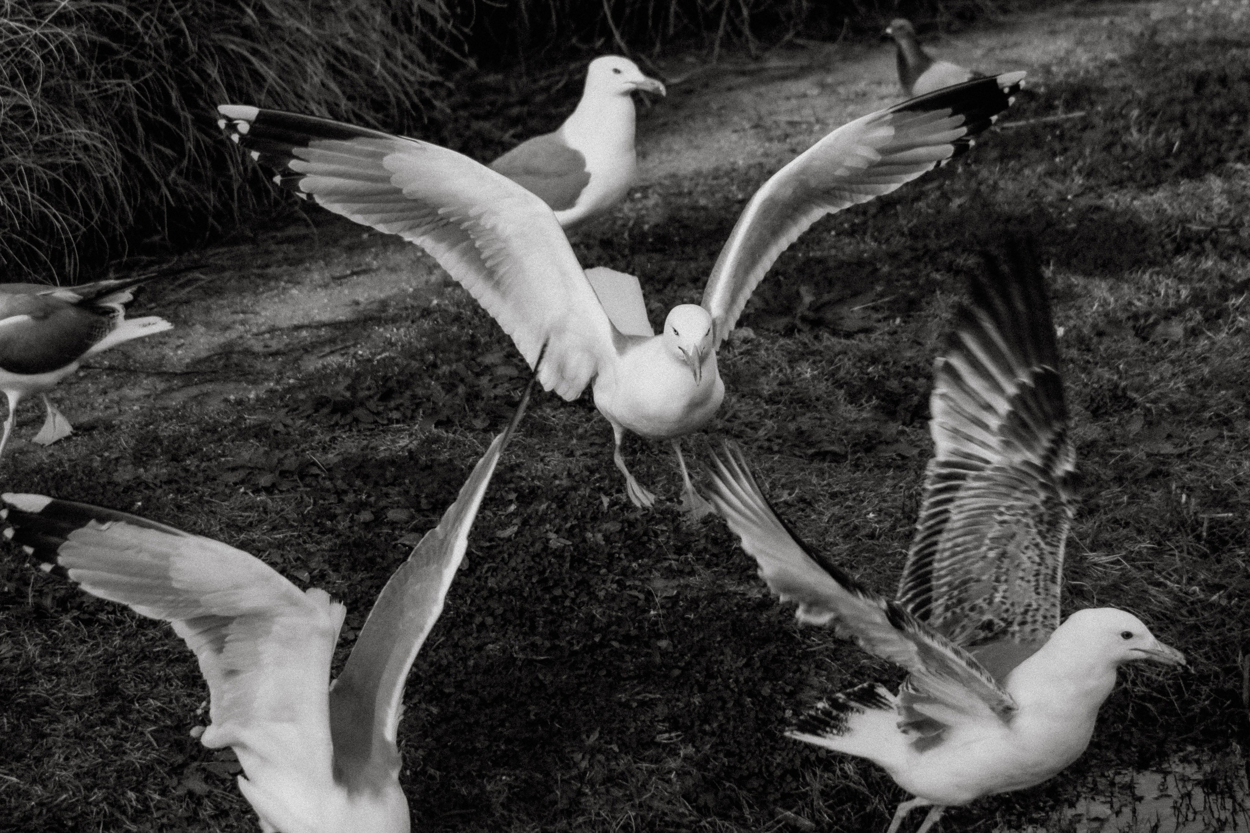 Photographe à la Seyne sur Mer, Var