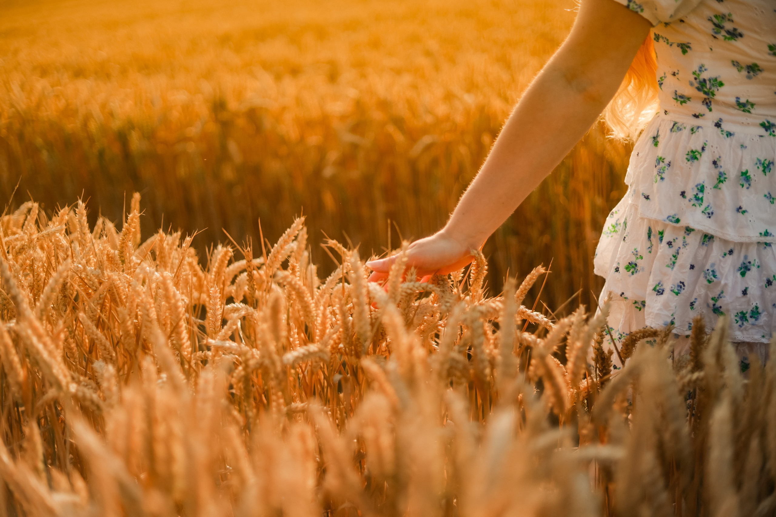 Photographer Co Dublin, Balbriggan — Agata Maliseva