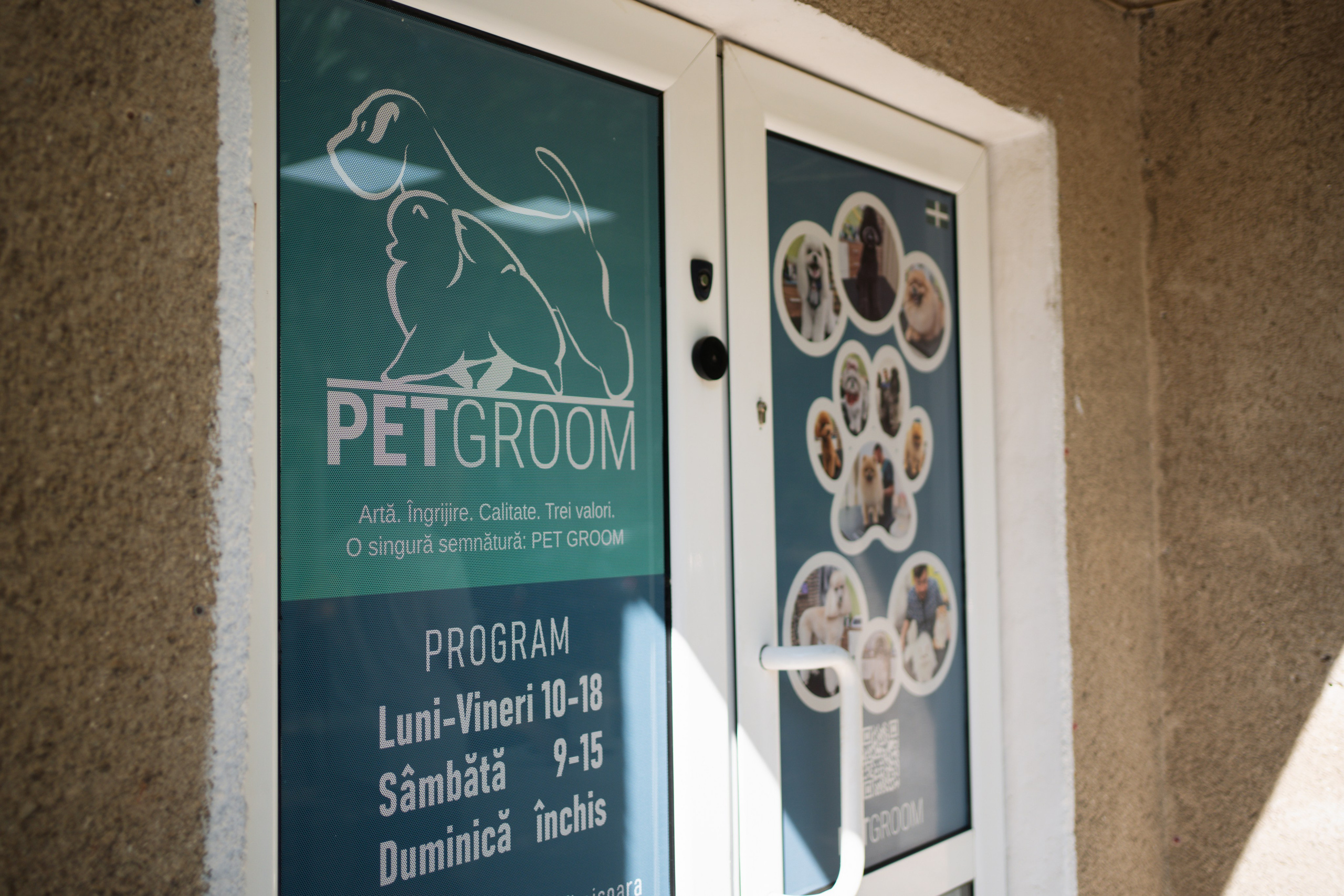 PetGroom Timisoara. Cozac Cristian Photographer