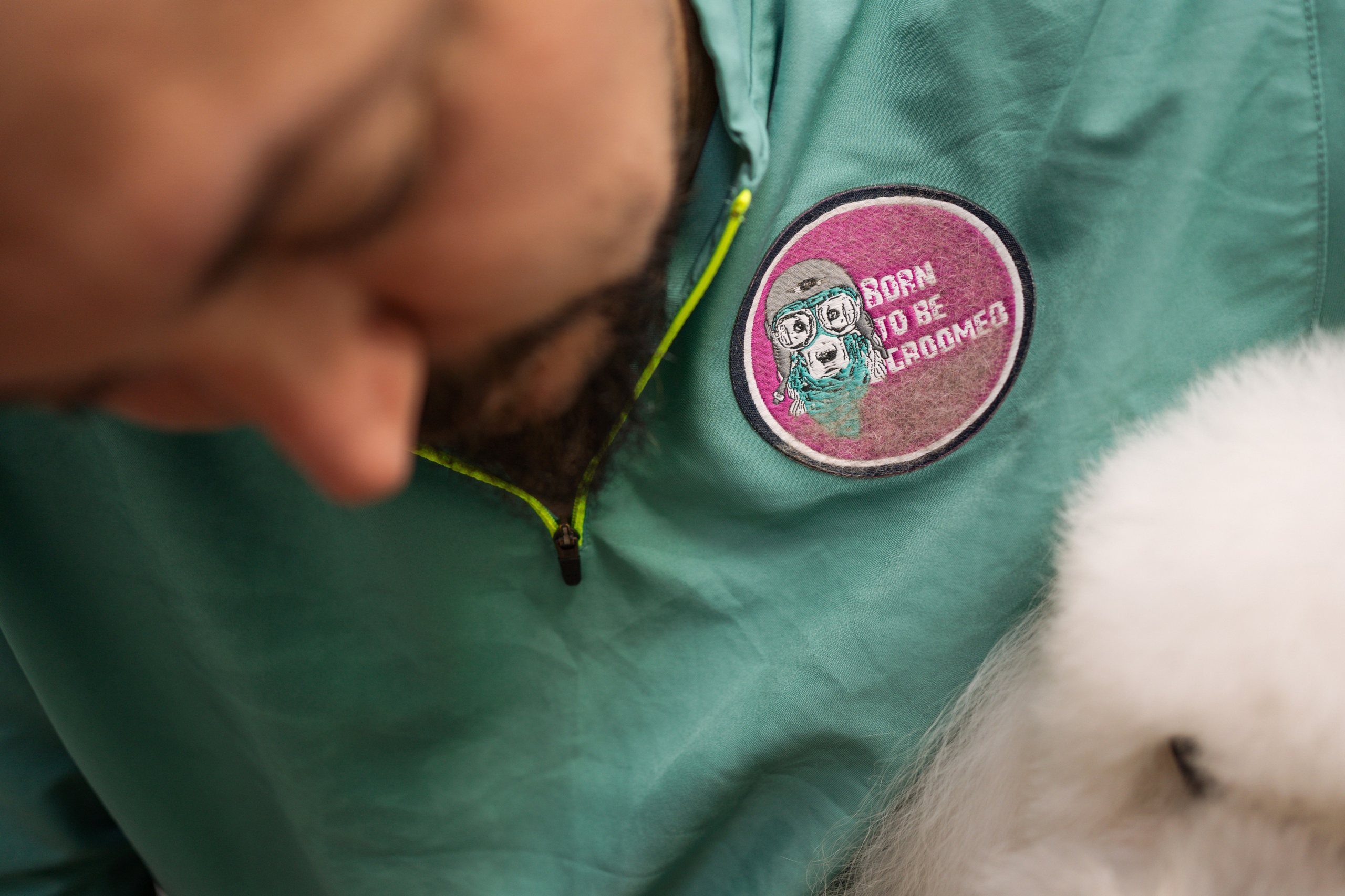 PetGroom Timisoara. Cozac Cristian Photographer