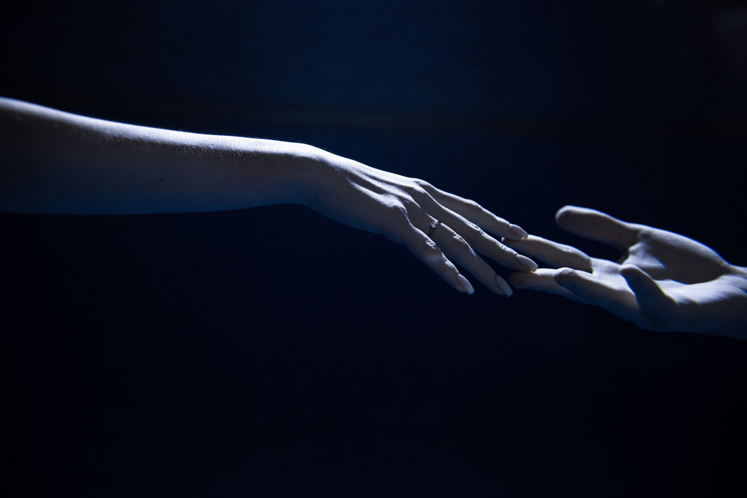 Эрик и Саша. Азимжан Нуритдинходжаев — свадебный фотограф