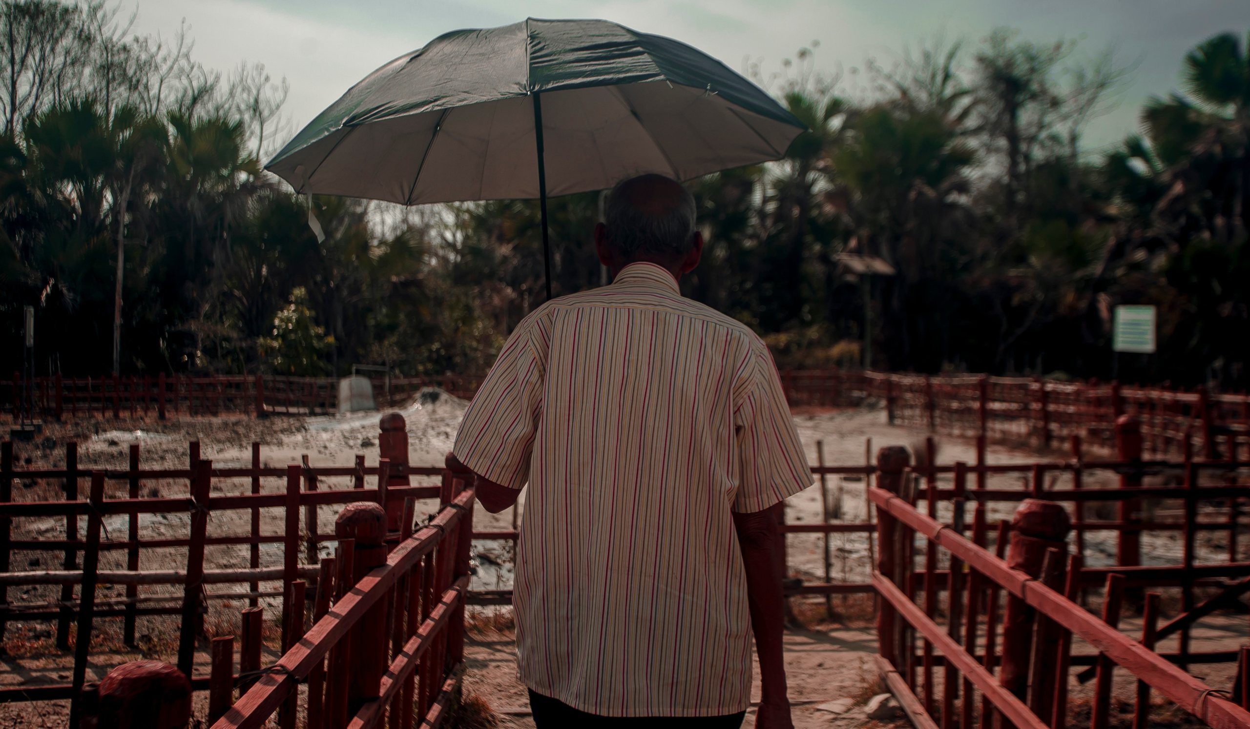 Andaman Islands, Part2. Art Photographer