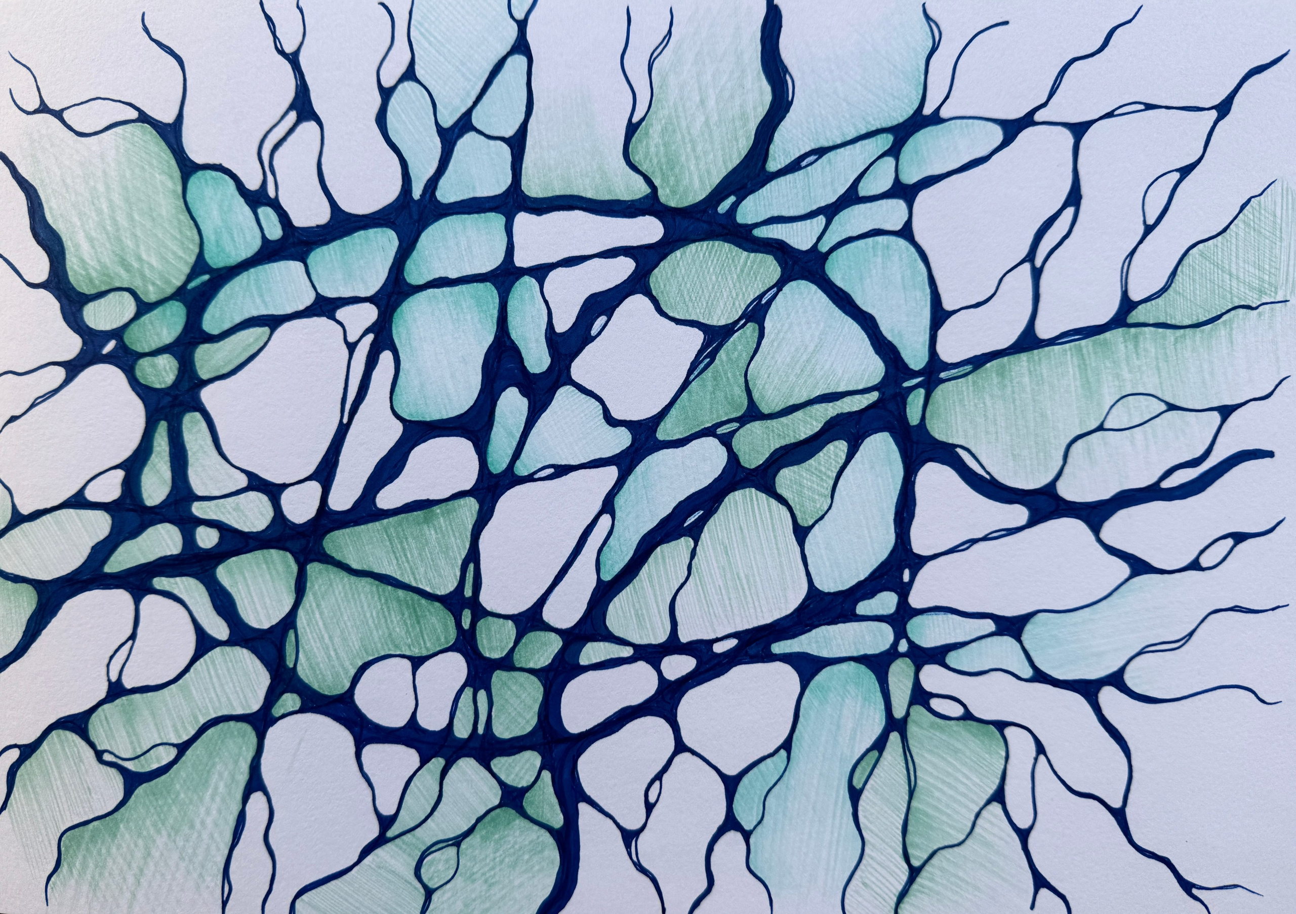 Moje slike. Numerologija. Nevrografika. Delavnice