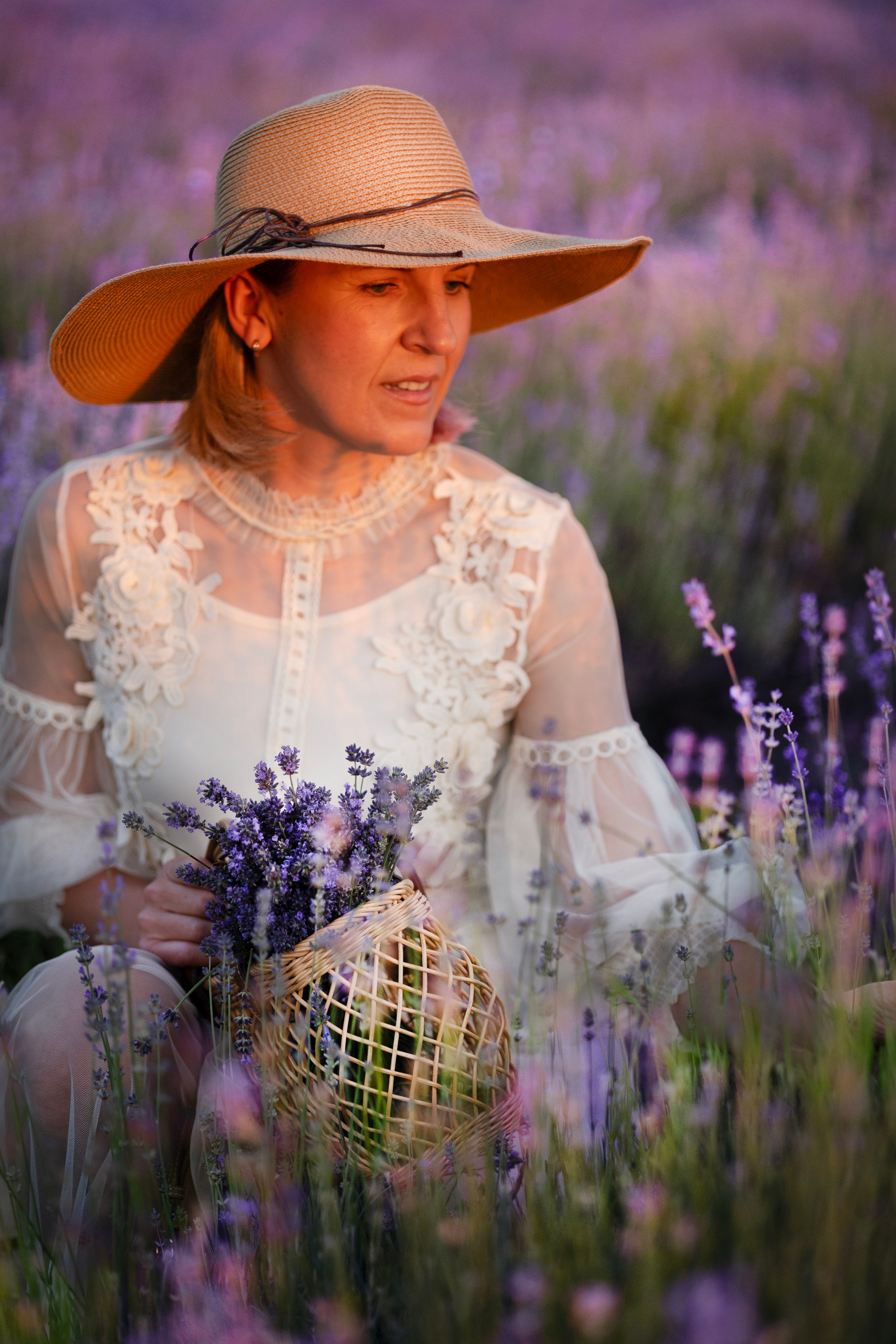 Lavendel. Photographer in Munich