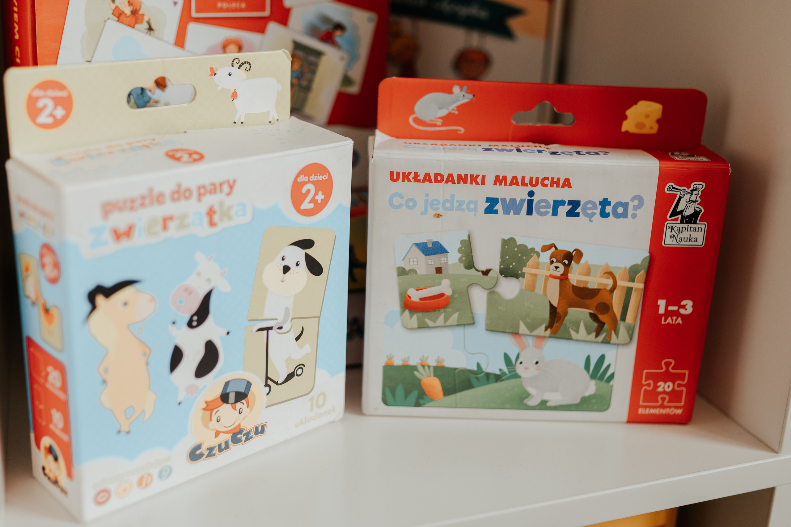 SESJA BIZNESOWA: Logopeda na dywanie. Karkowskafoto - fotografia miłości