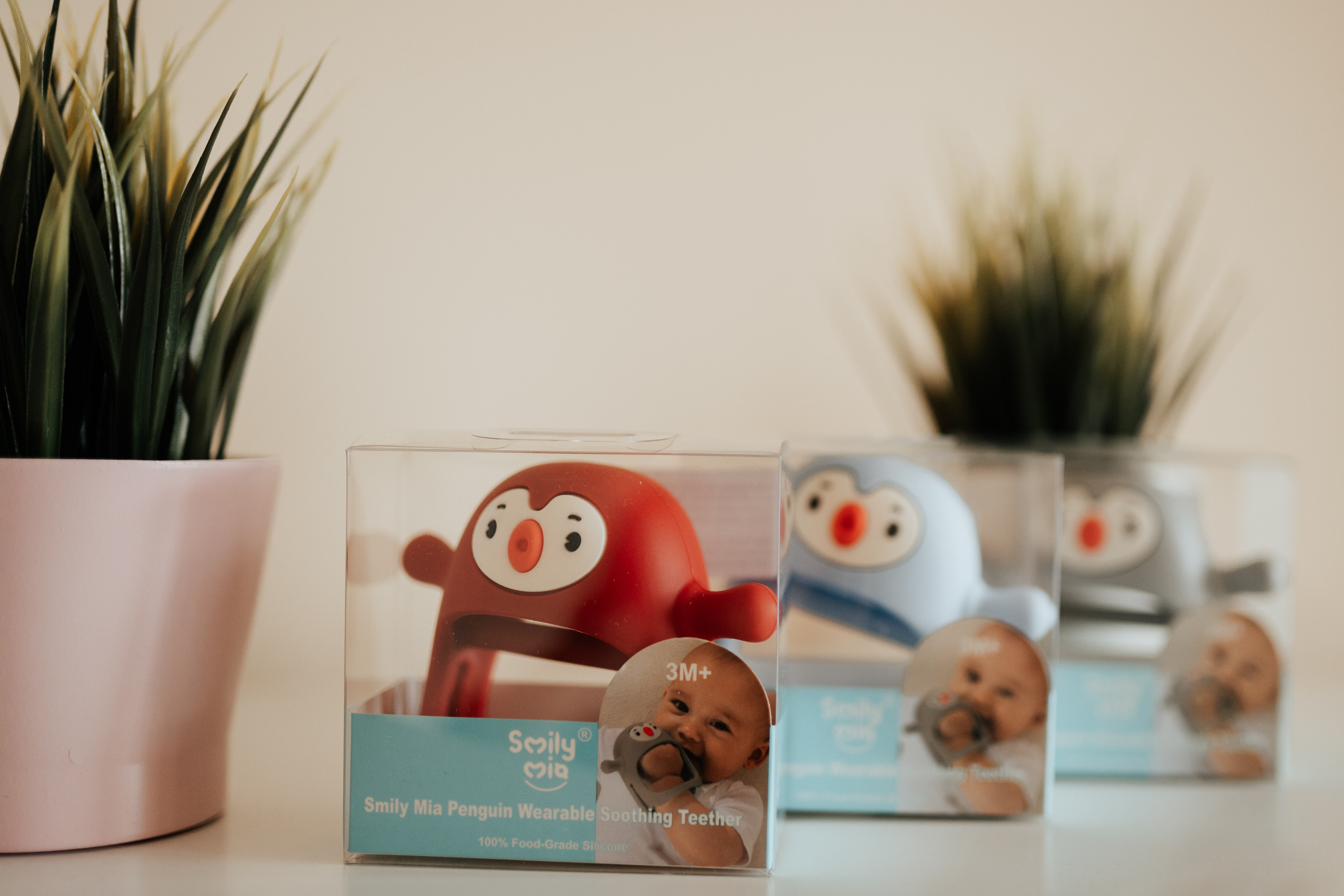 SESJA BIZNESOWA: Logopeda na dywanie. Karkowskafoto - fotografia miłości