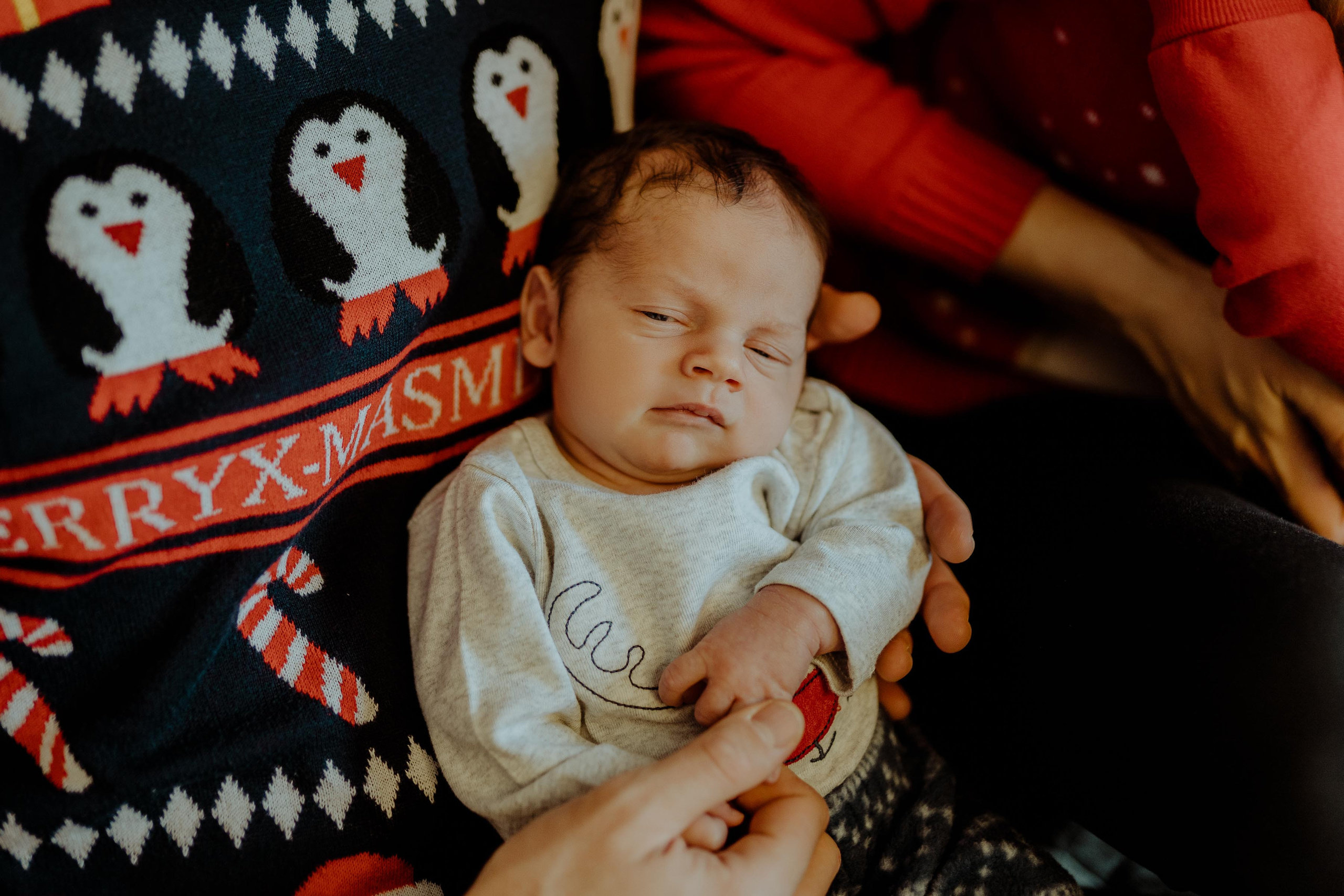 Ola&Nikodem&Staś&Leoś. Karkowskafoto - fotografia miłości