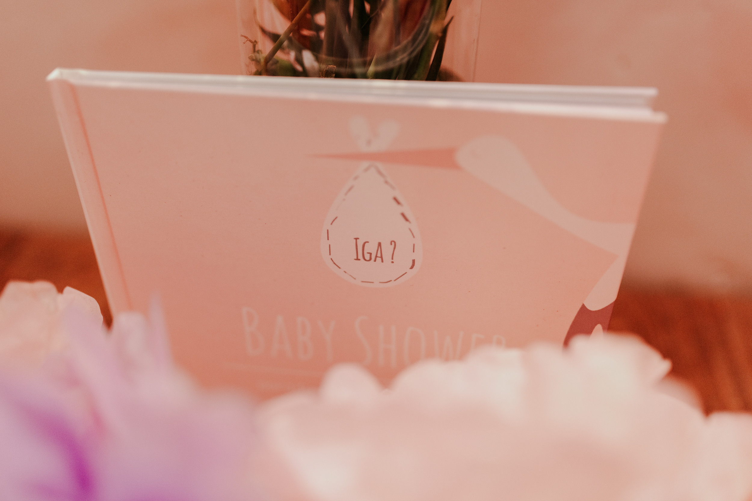 BABY SHOWER AGNIESZKI. Karkowskafoto - fotografia miłości
