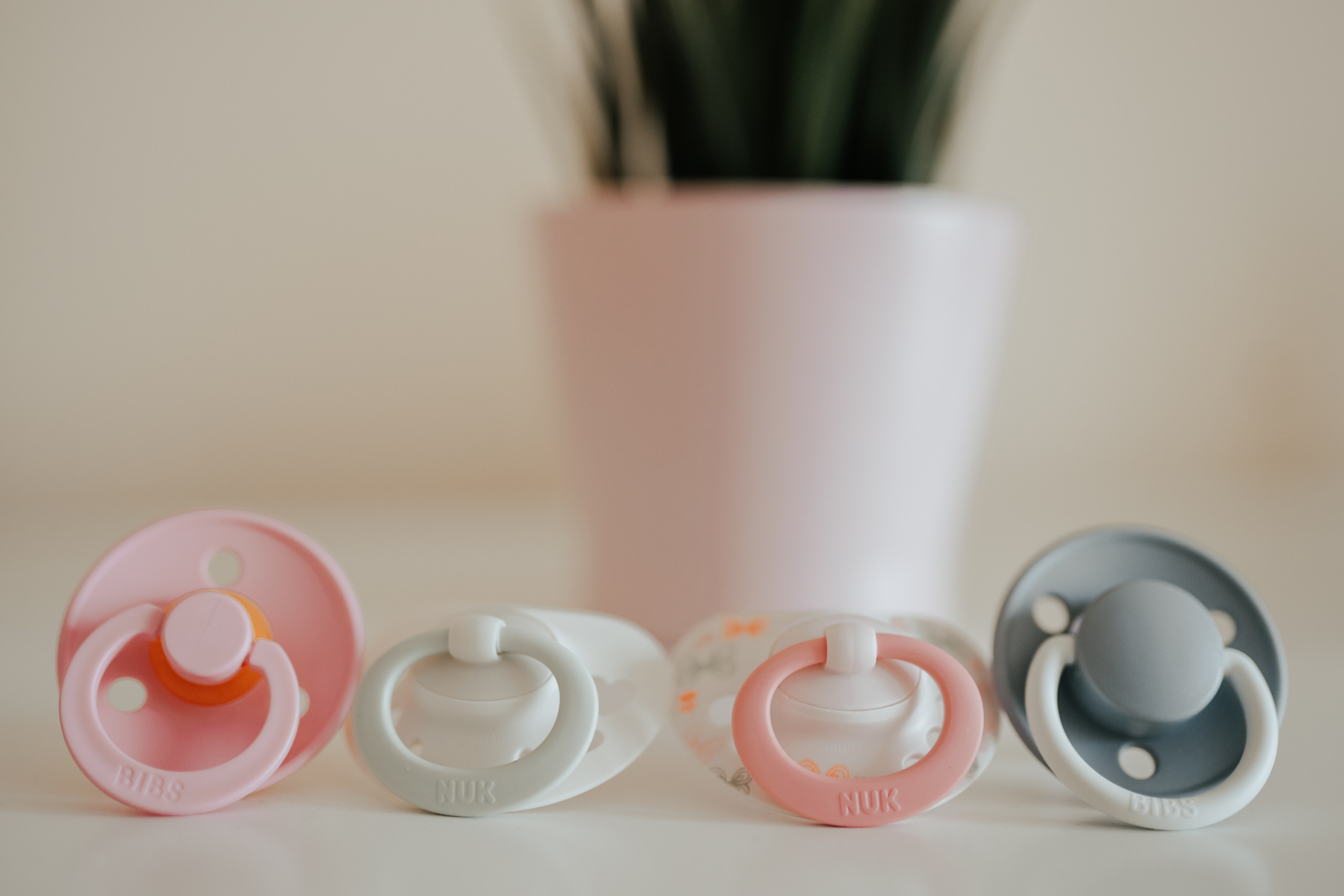 SESJA BIZNESOWA: Logopeda na dywanie. Karkowskafoto - fotografia miłości