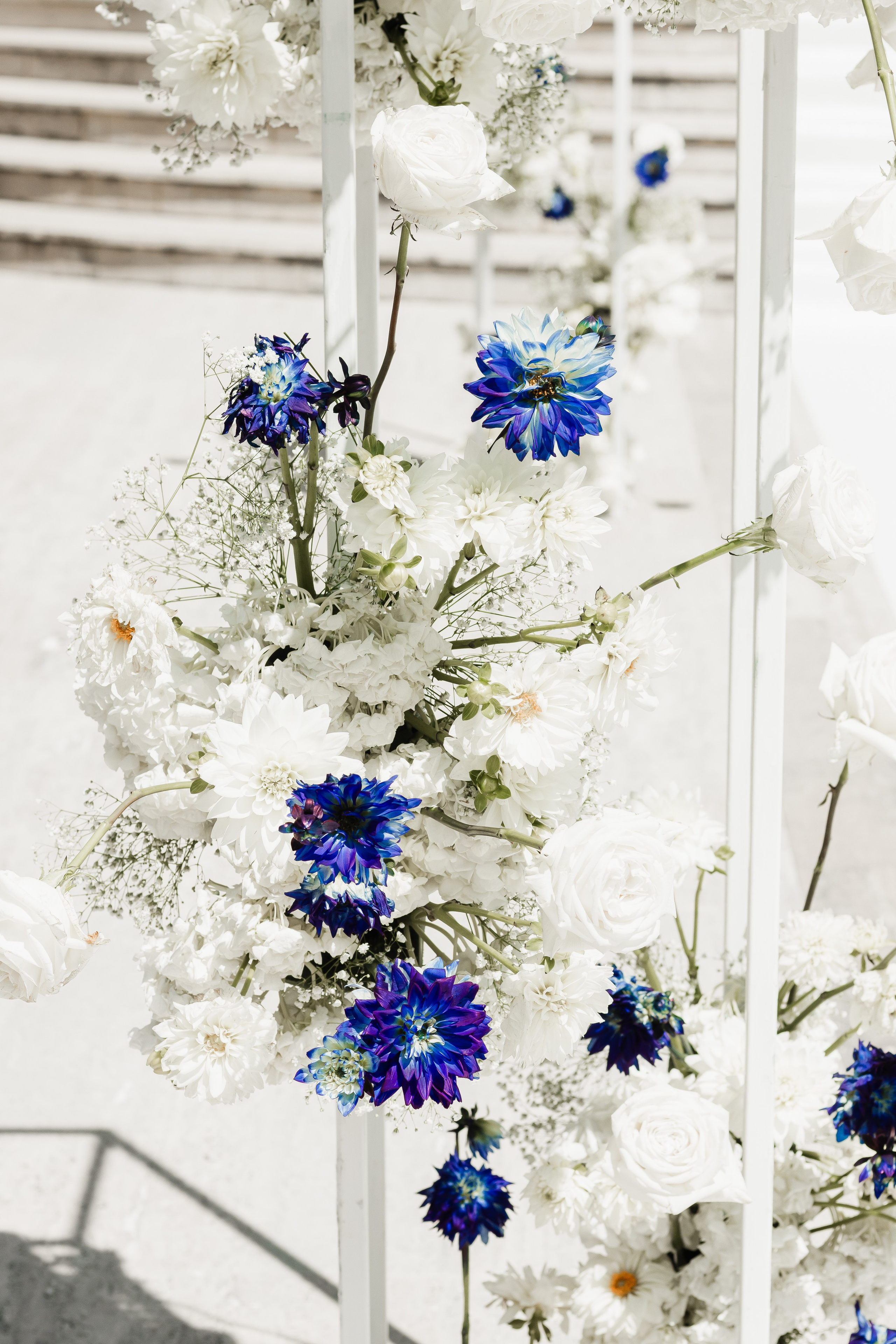 Antonietta + Anthony. Palumbo Studio